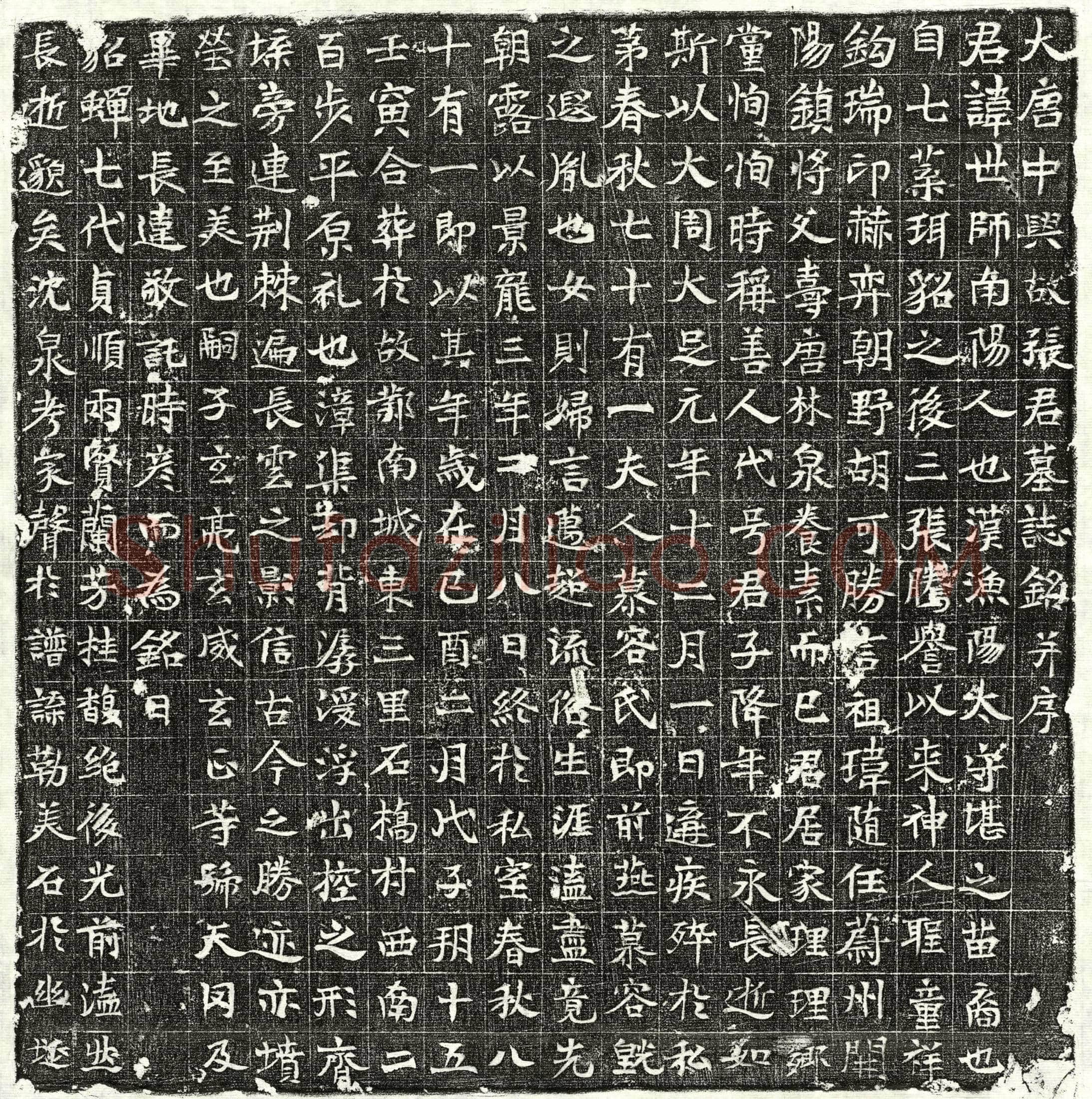 唐张世师墓誌(大唐中兴故张君墓誌铭并序)