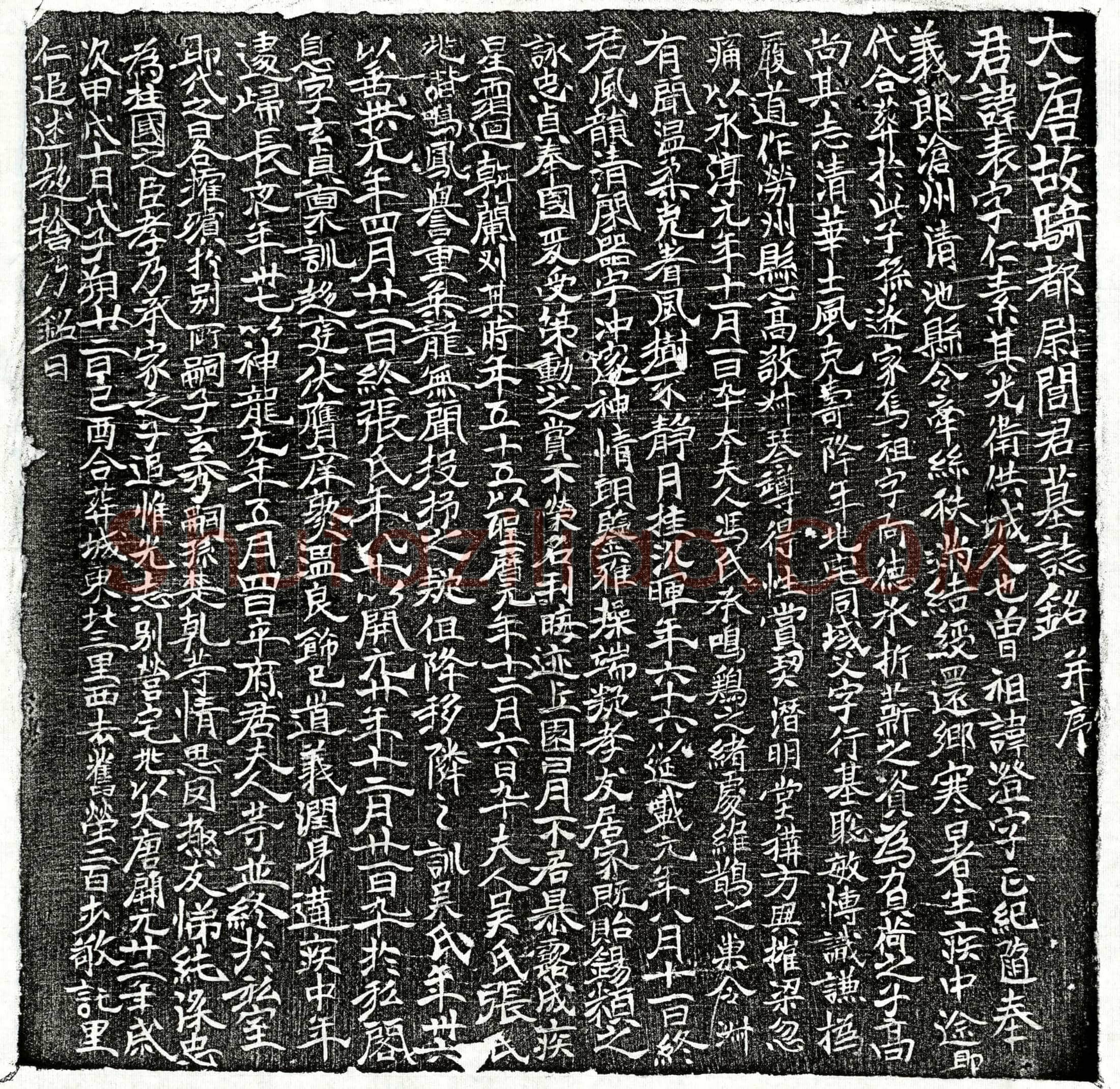 唐闾表墓誌(大唐故骑都尉闾君墓誌铭并序)