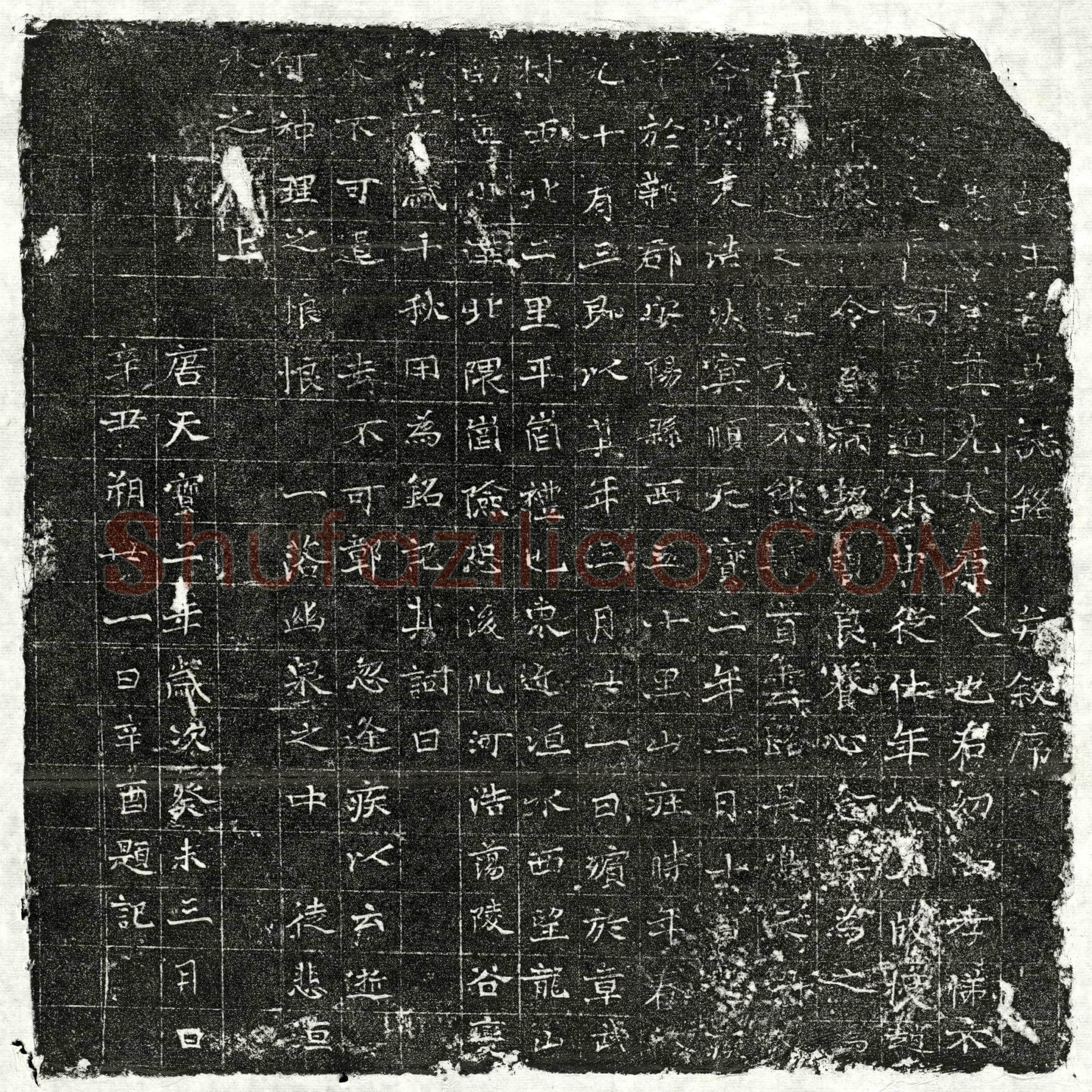 唐 王君 墓誌