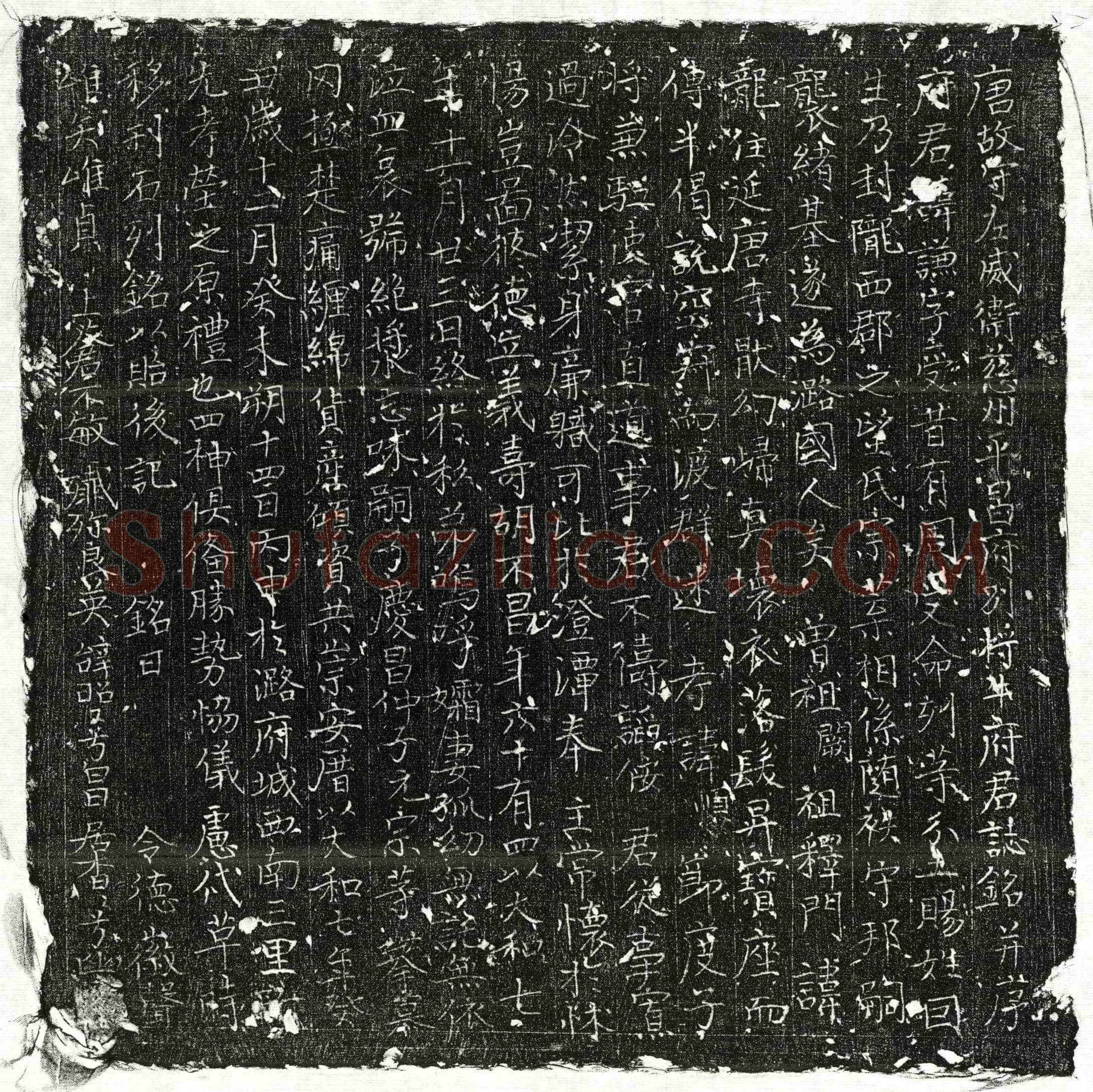唐牛谦墓誌(唐故守左威卫慈州平昌府别将牛府君誌铭并序)