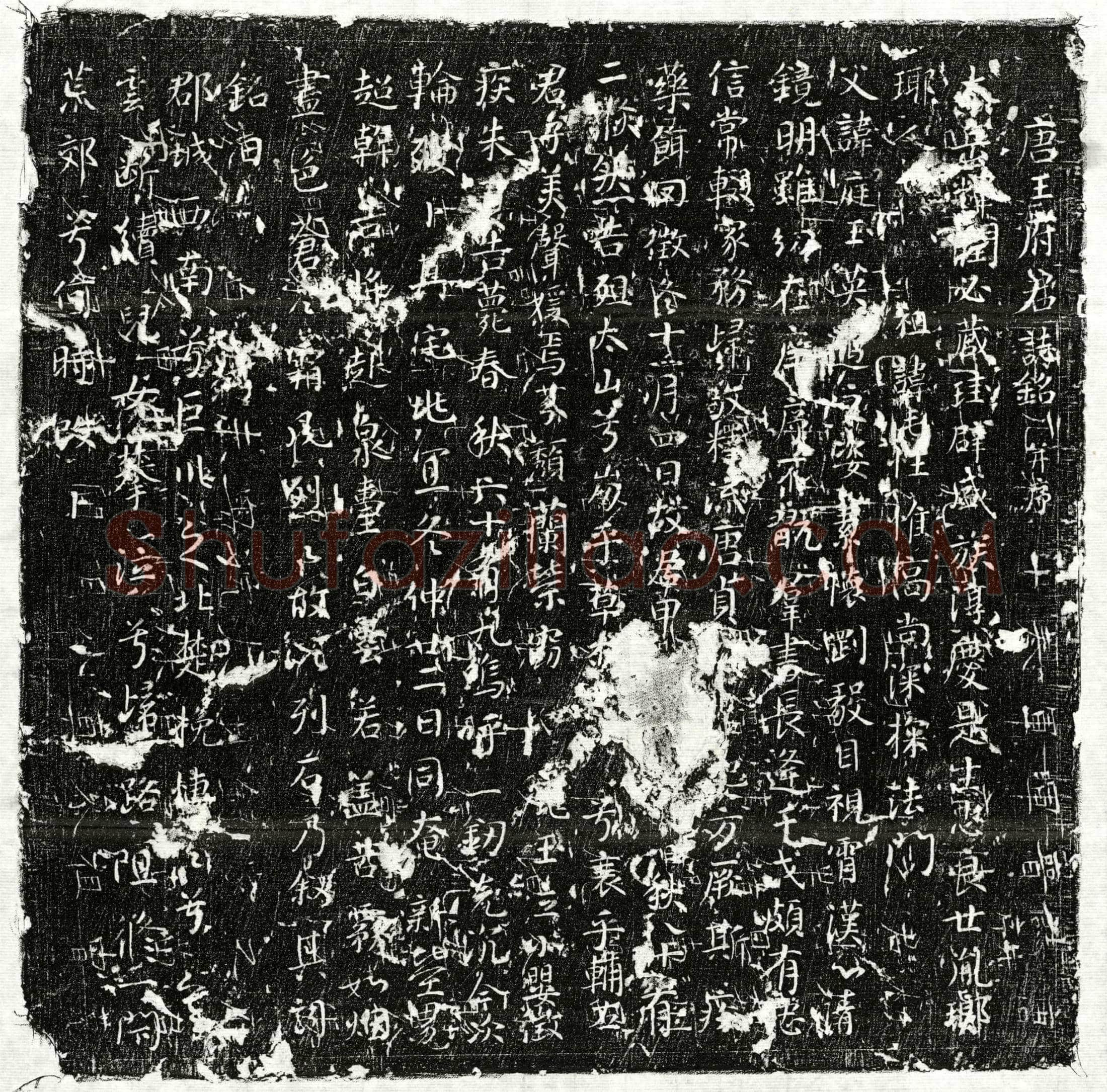 唐 王庭玉 墓誌