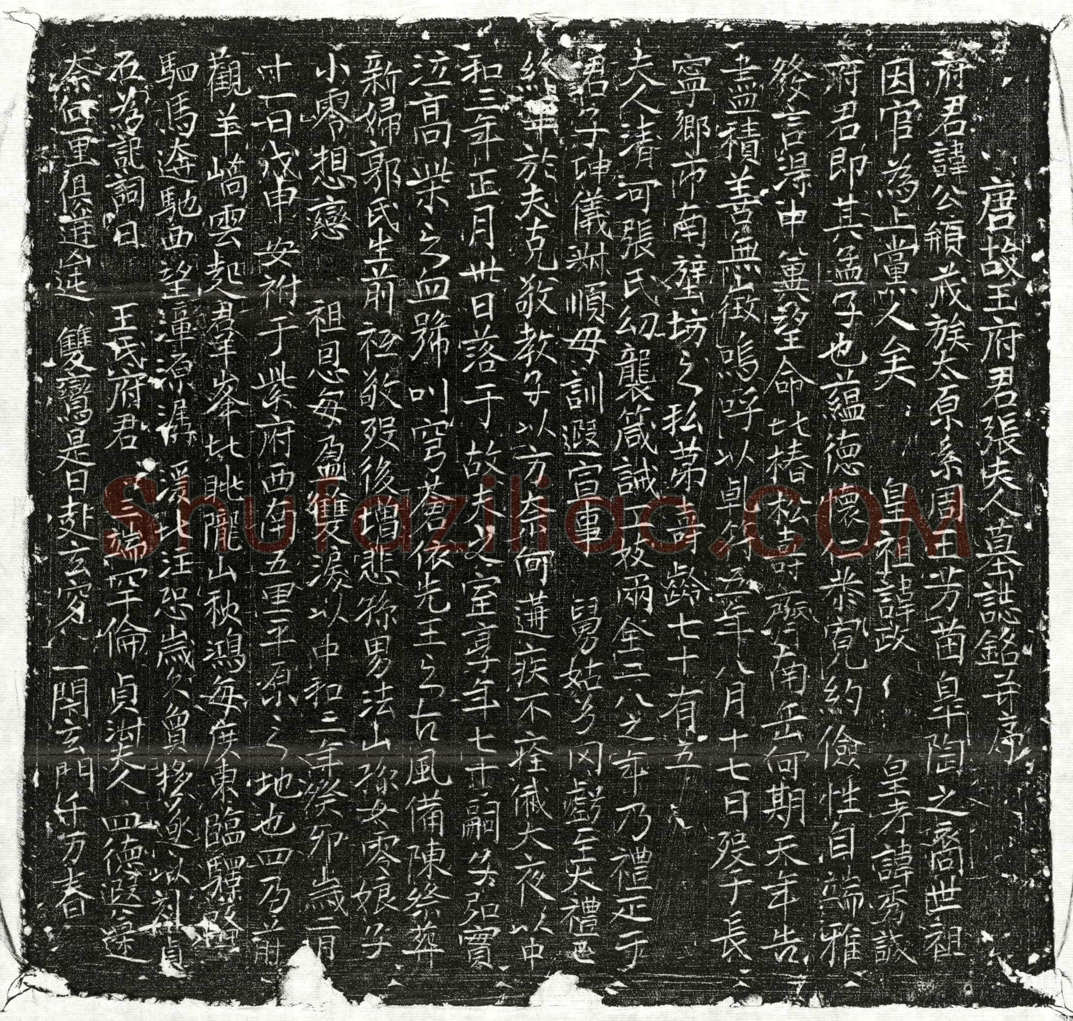 唐 王公䪻 王公䪻妻张氏 墓誌