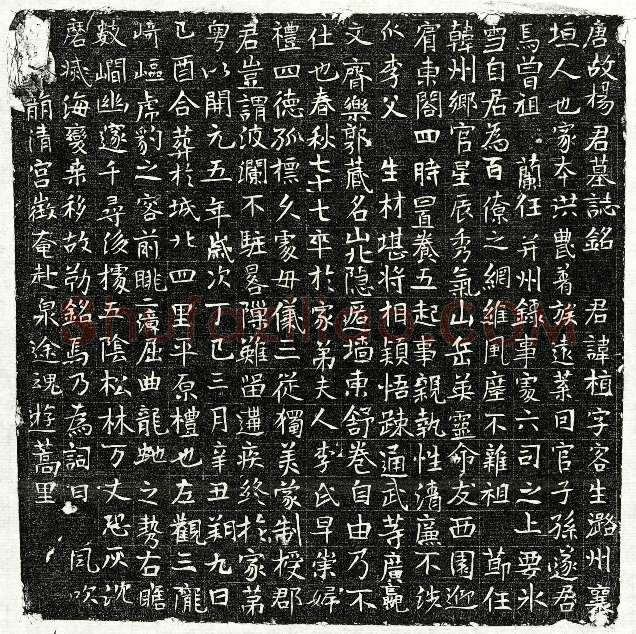 唐 杨植 墓誌