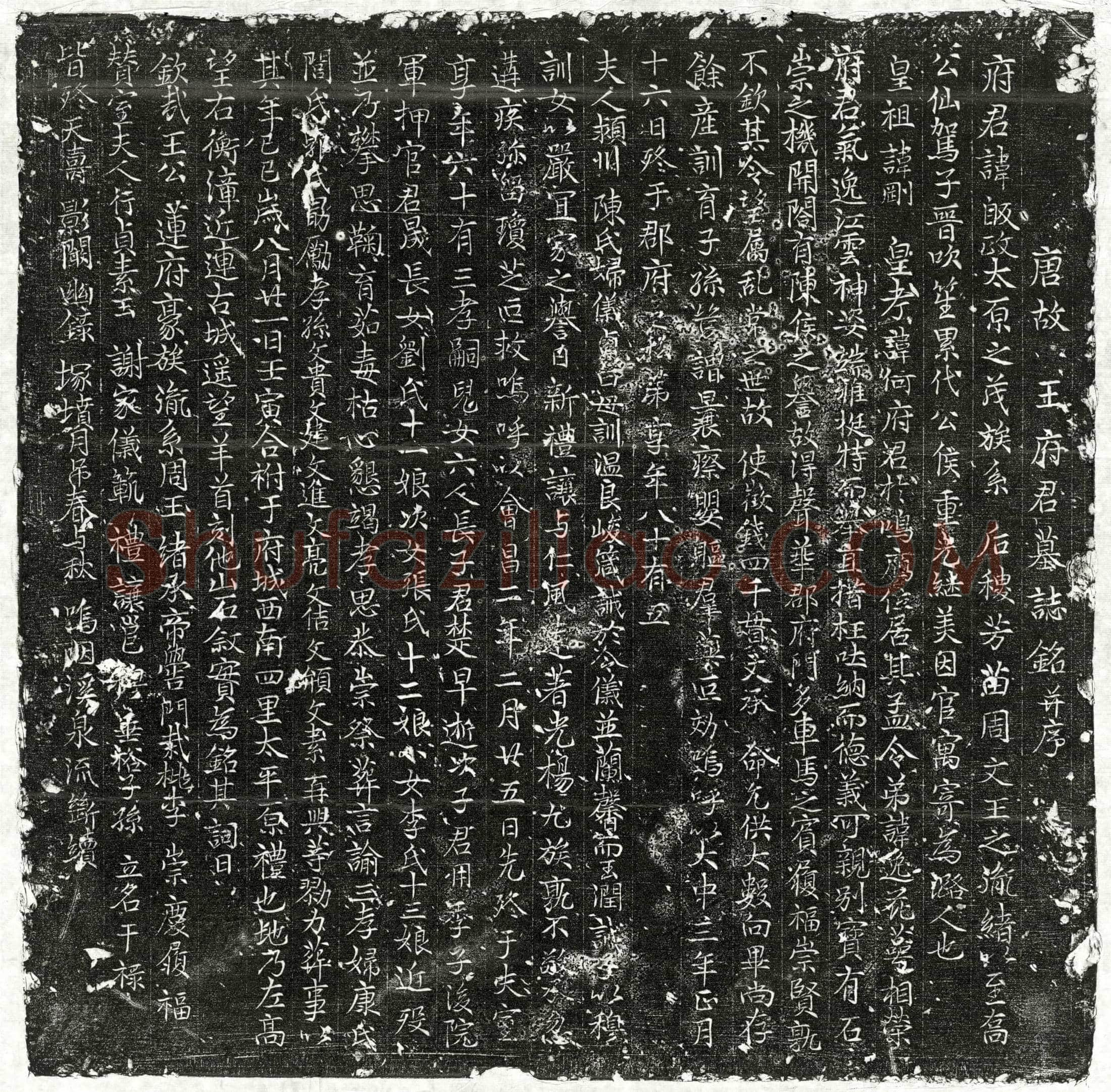 唐王皈政墓誌(唐故王府君墓誌铭并序)