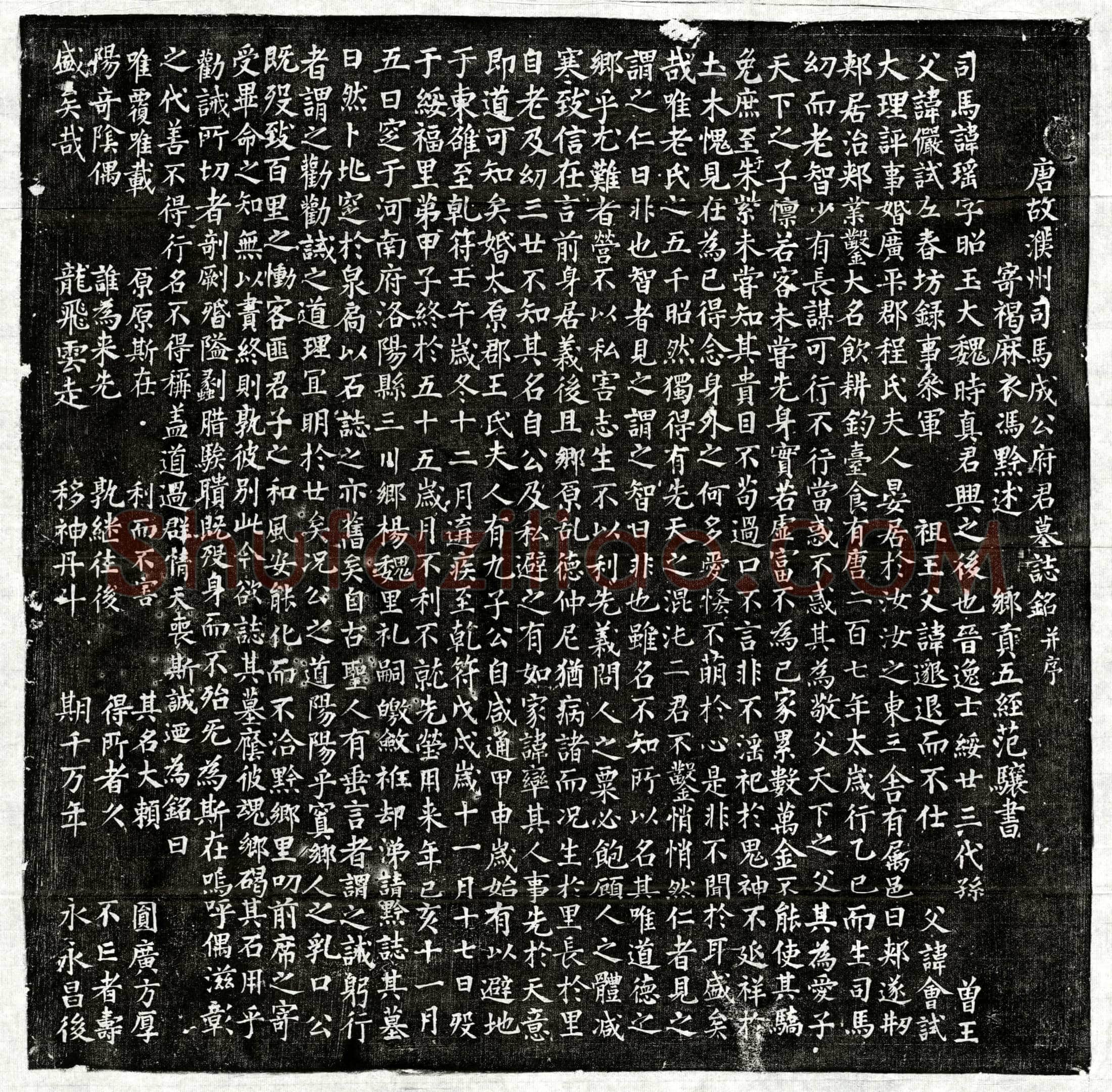 唐成瑶墓誌(唐故濮州司马成公府君墓誌铭并序)