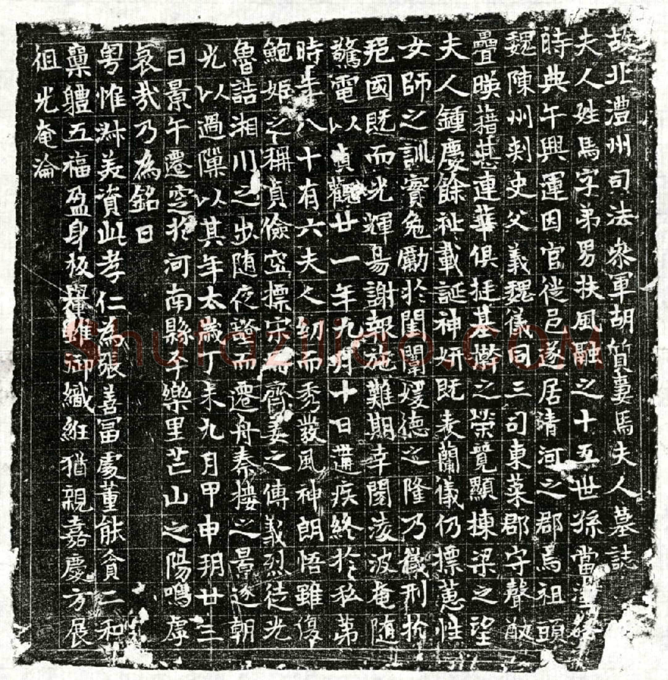 唐 胡质妻马弟男 墓誌