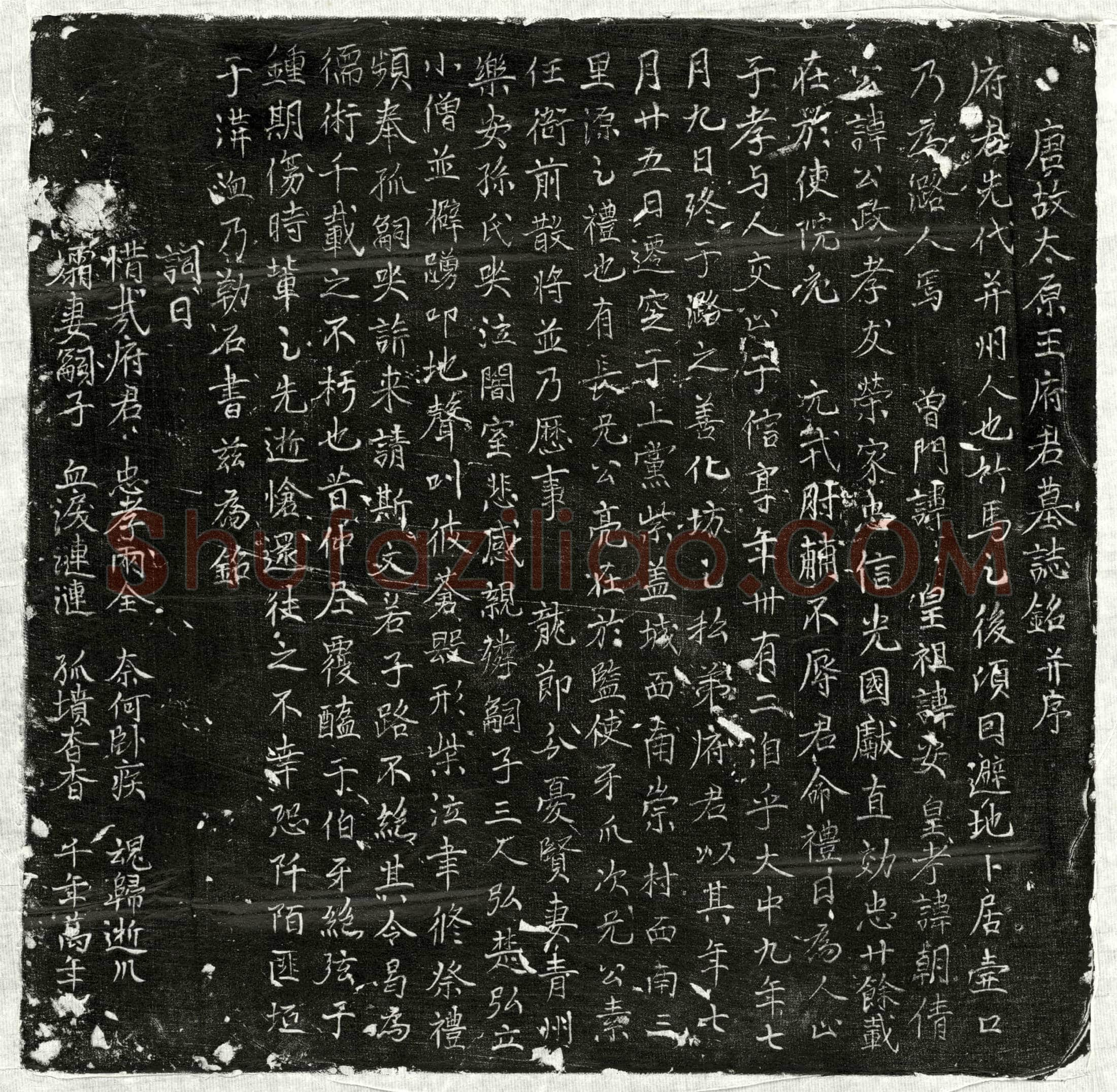 唐 王公政 墓誌