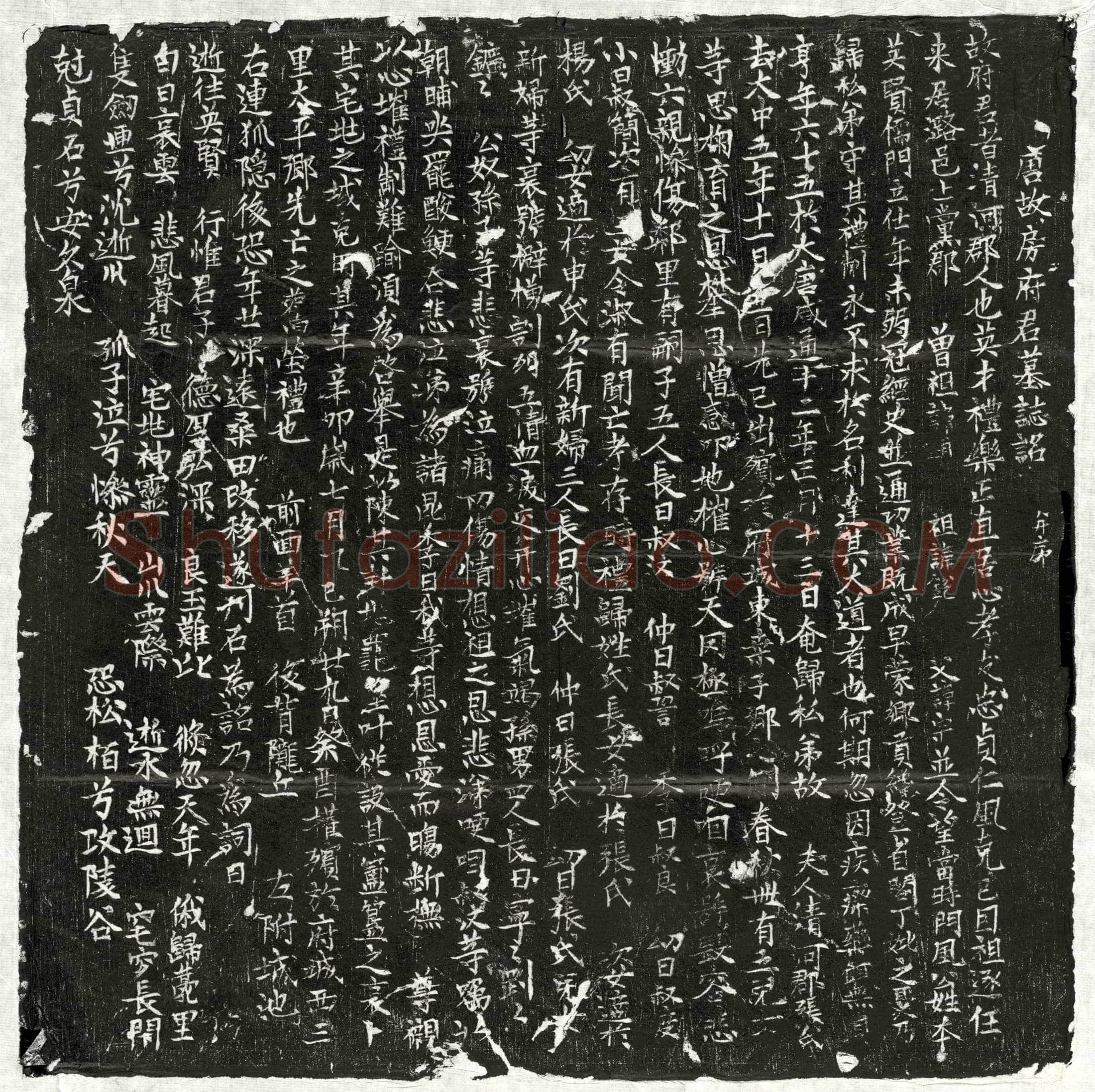 唐 房君 墓誌