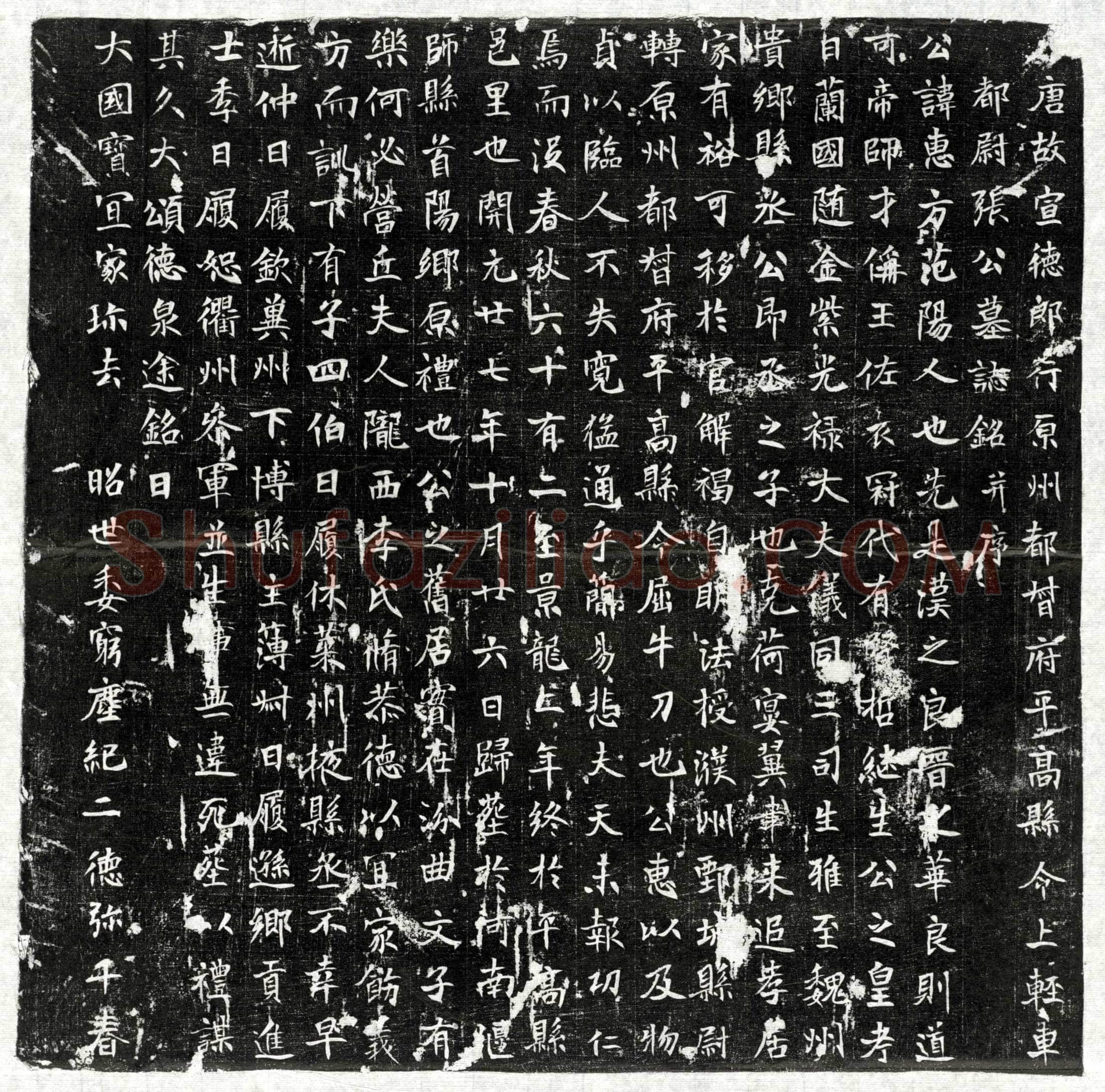 唐 张惠方 墓誌