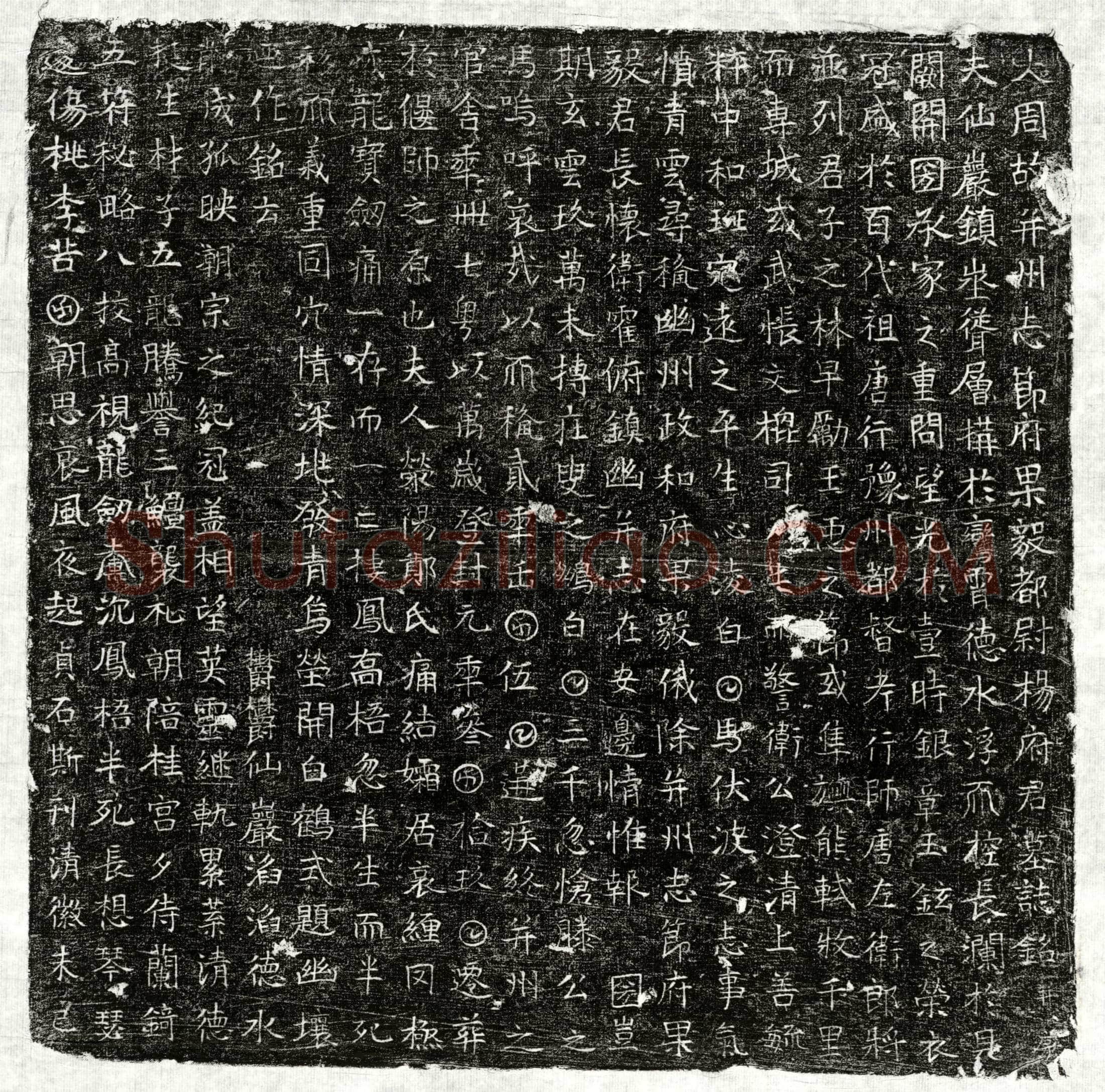 唐 杨君 墓誌