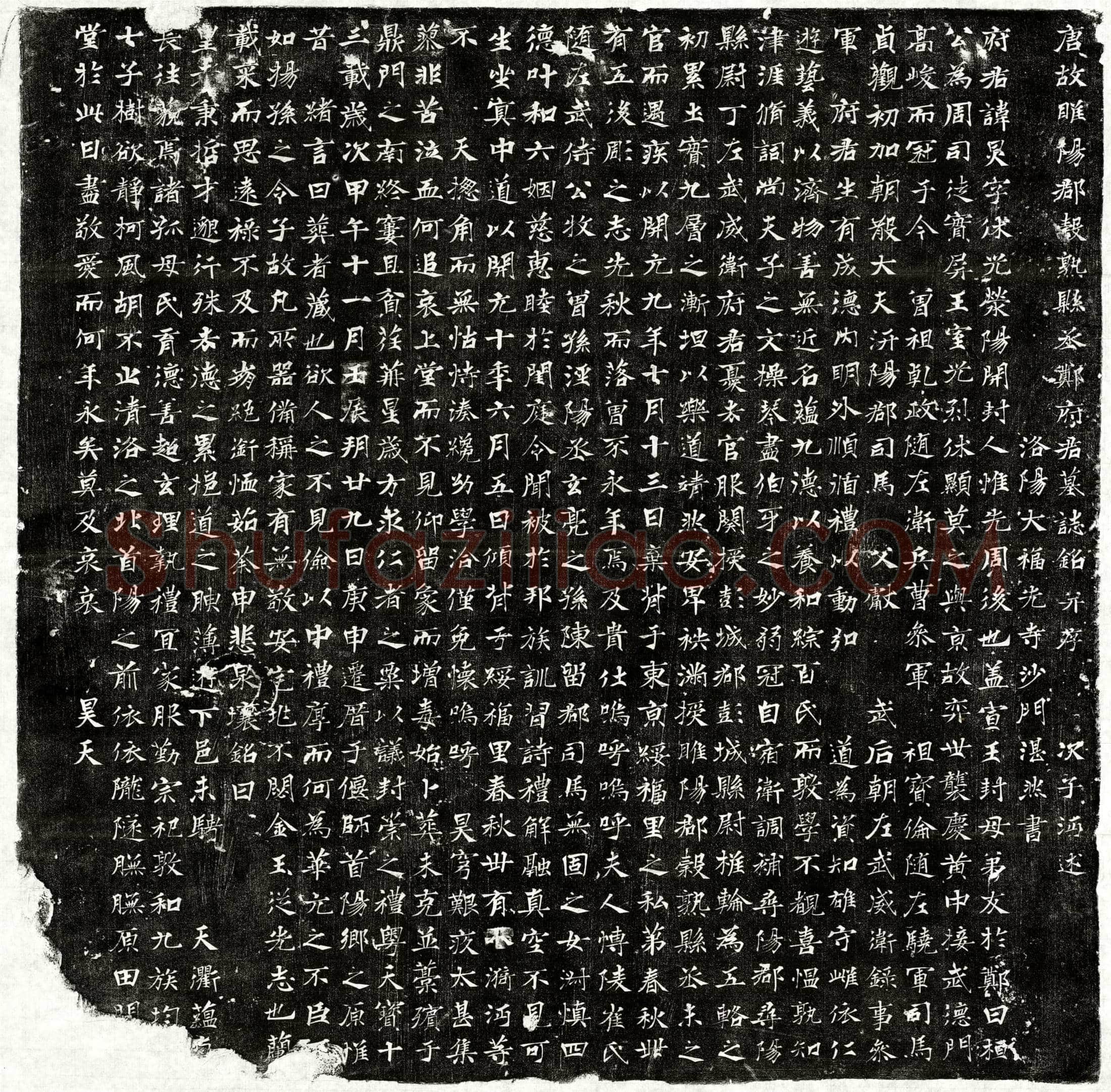 唐 郑炅 墓誌