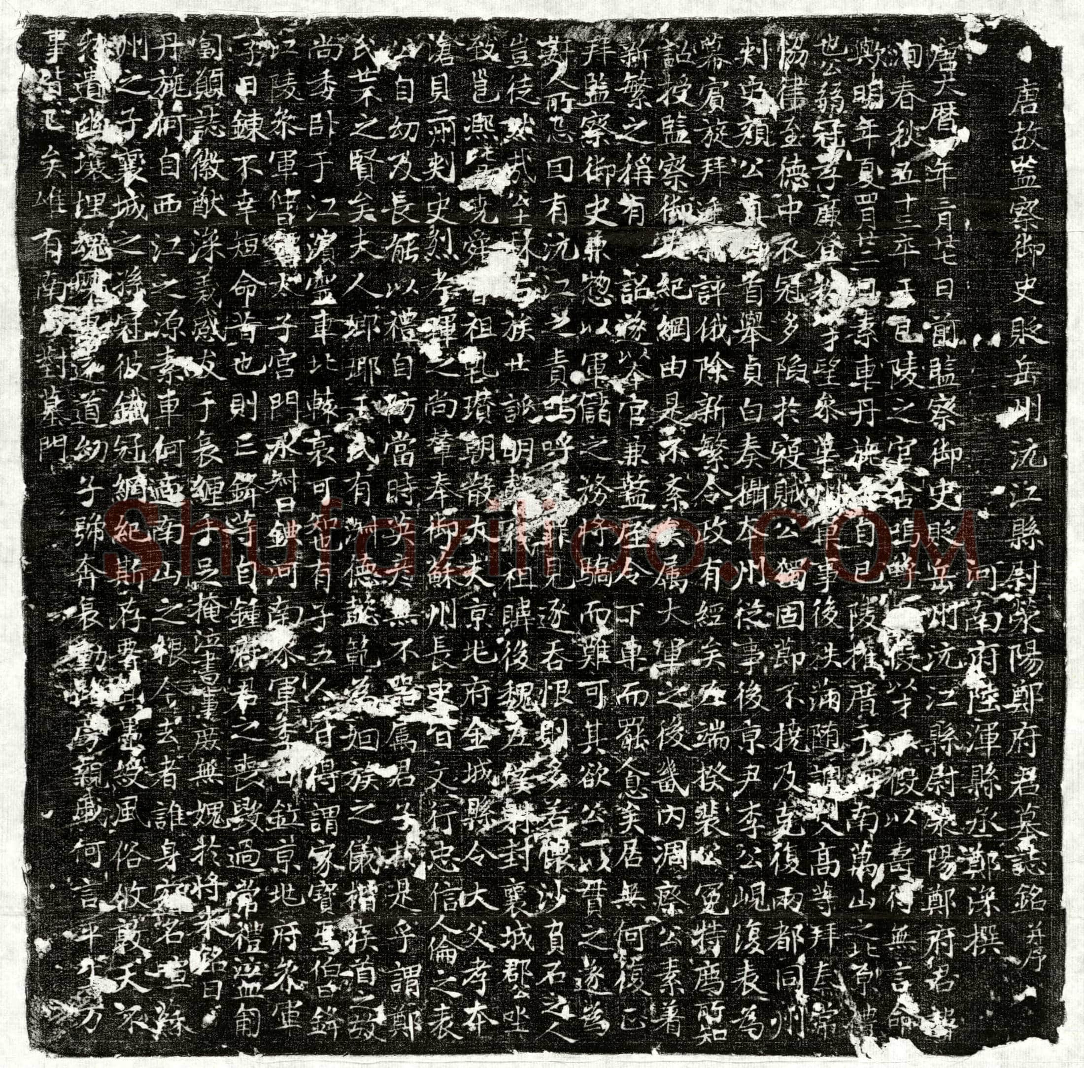 唐 郑洵 墓誌