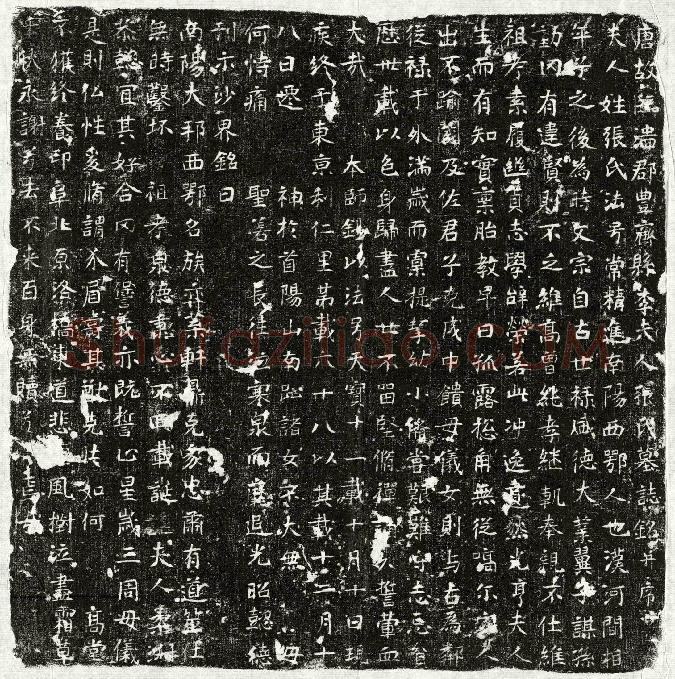 唐李君妻张常精进墓誌(唐故临淄郡丰齐县李夫人张氏墓誌铭并序)