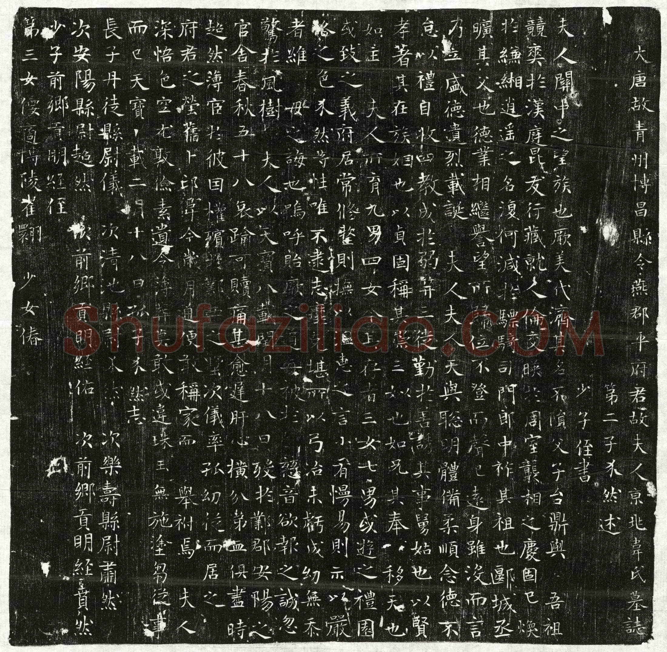 唐平君妻韦氏墓誌(大唐故青州博昌县令燕郡平府君故夫人京兆韦氏墓誌)