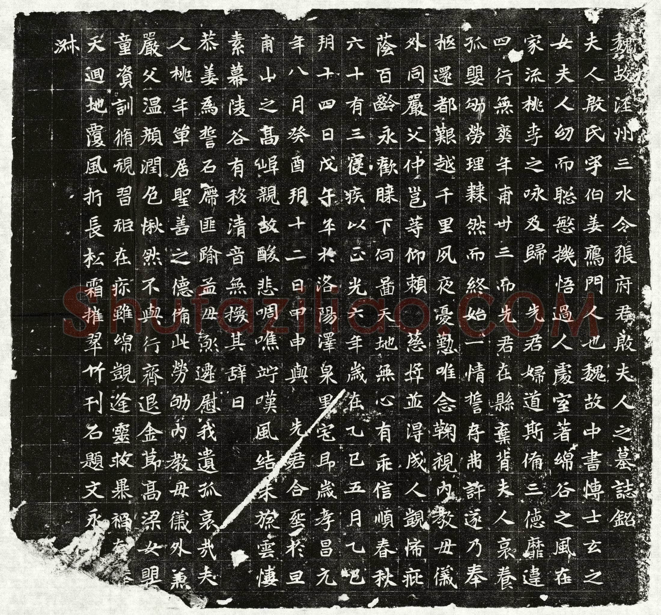北朝张君妻殷伯姜墓誌(魏故泾州三水令张府君殷夫人之墓誌铭)