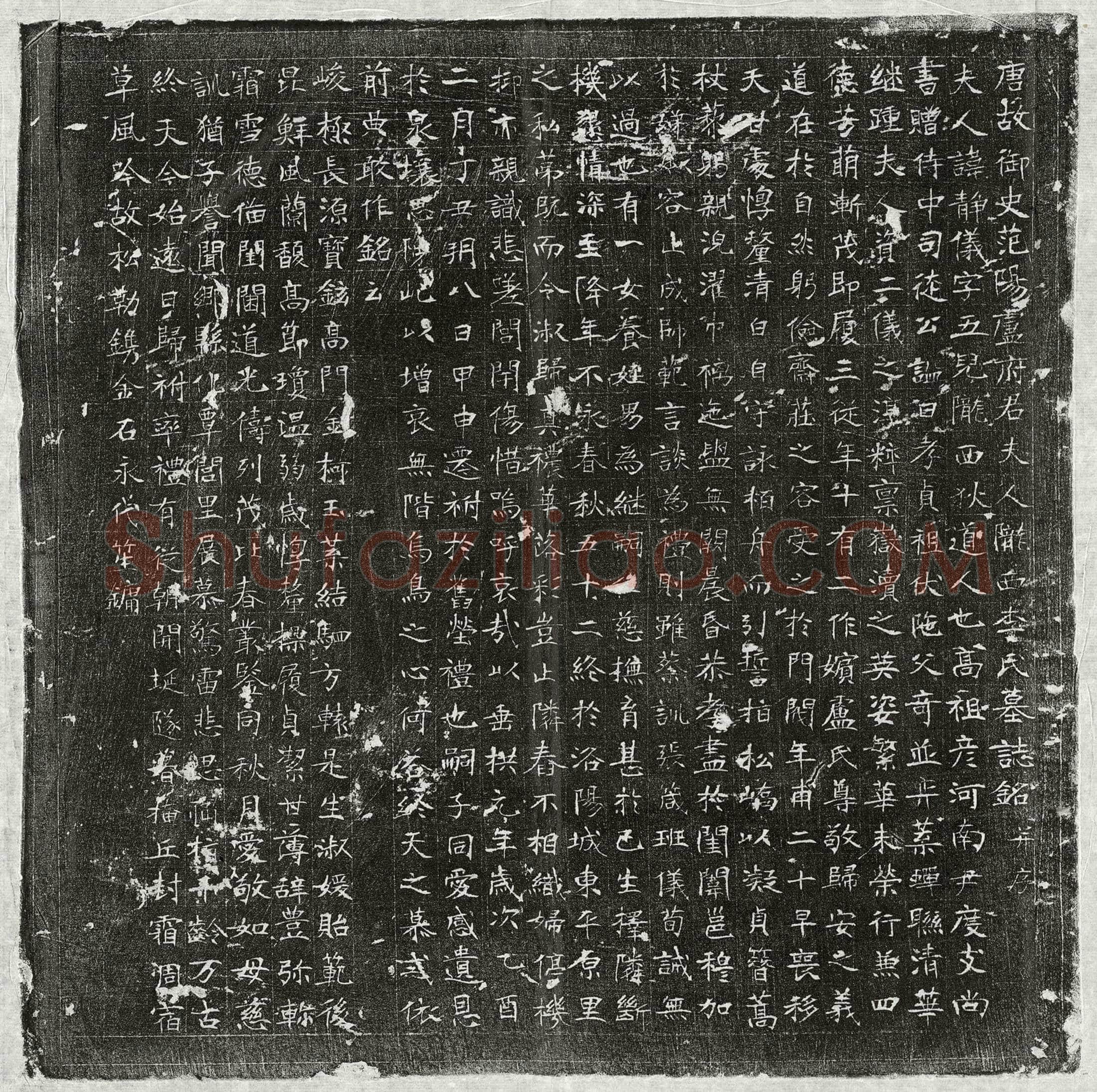 唐 卢君妻李静仪 墓誌
