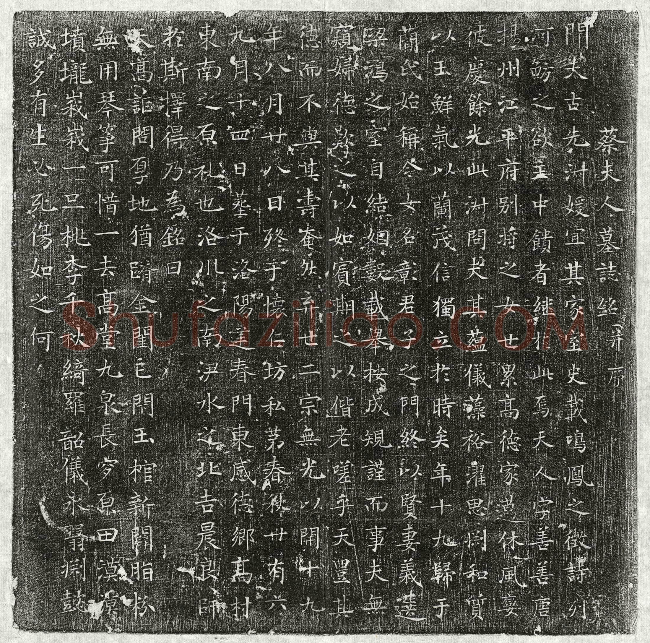 唐蕳君妻蔡善善墓誌(蔡夫人墓誌铭并序)