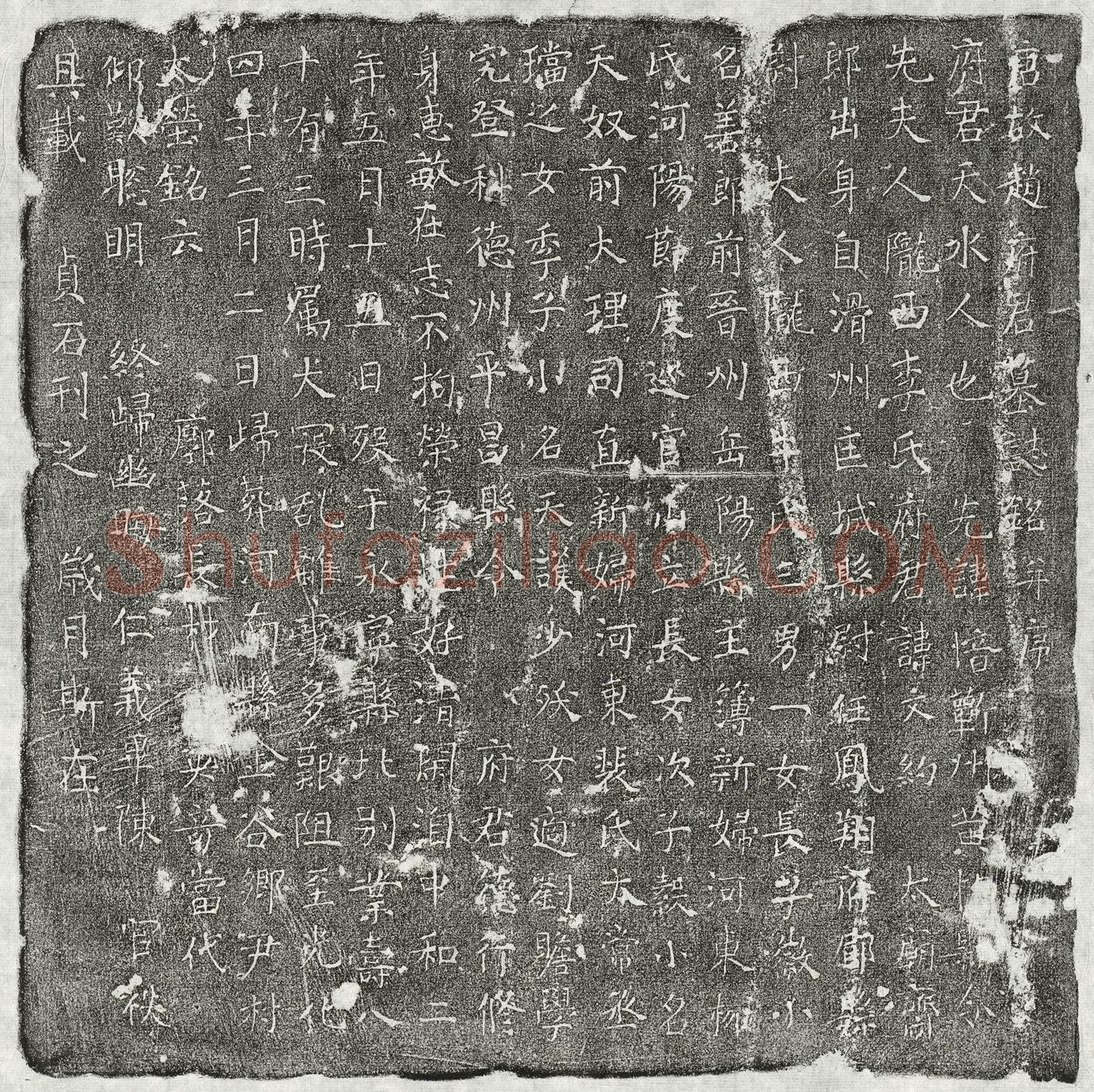 唐 赵文约 墓誌
