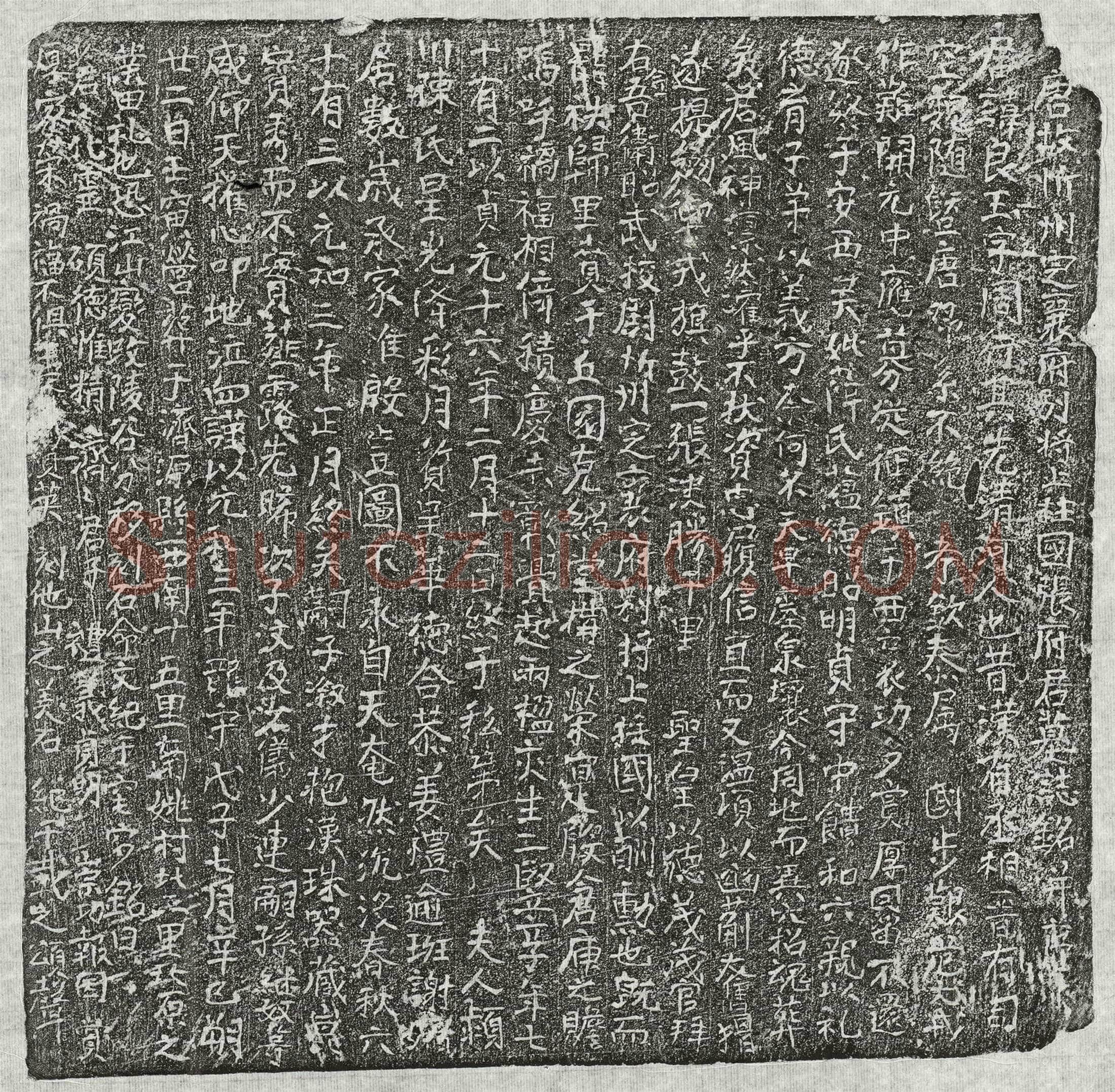 唐张良玉墓誌(唐故忻州定襄府别将上柱国张府君墓誌铭并序)