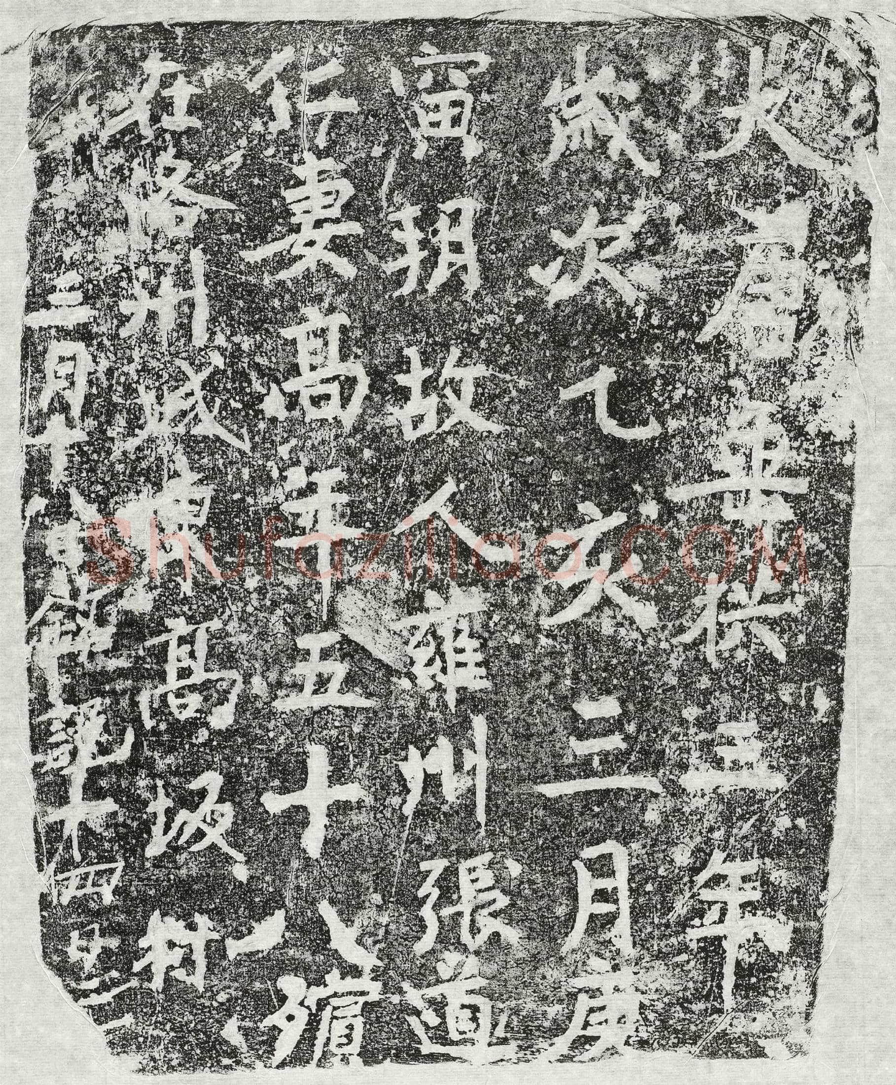 唐 张道仁妻高氏 墓誌