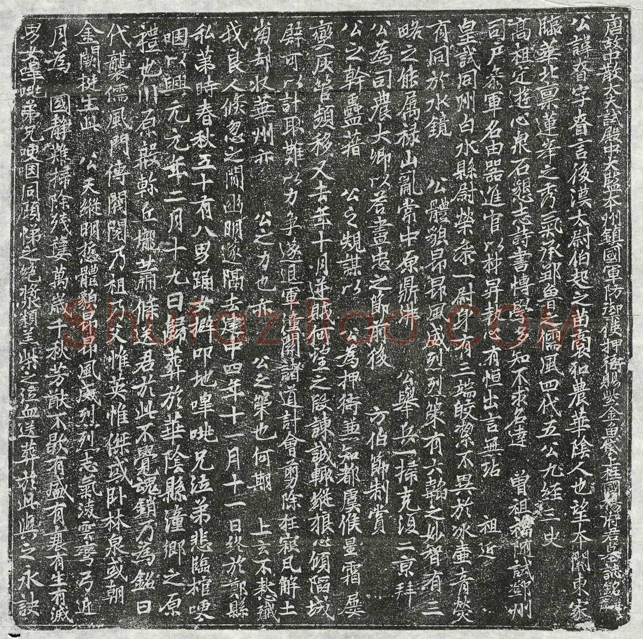 唐 杨眘 墓誌