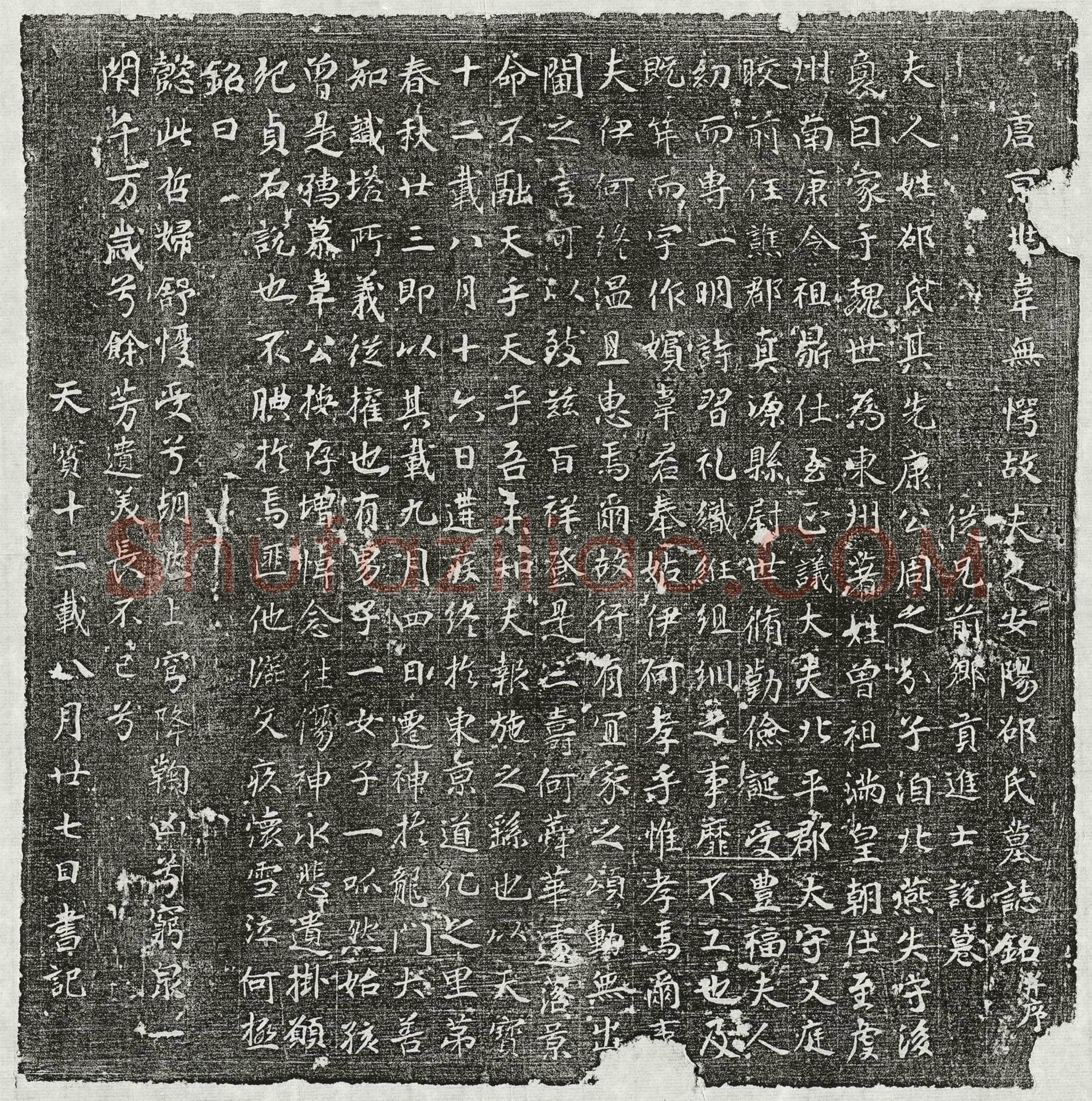 唐 韦无愕妻邵氏 墓誌