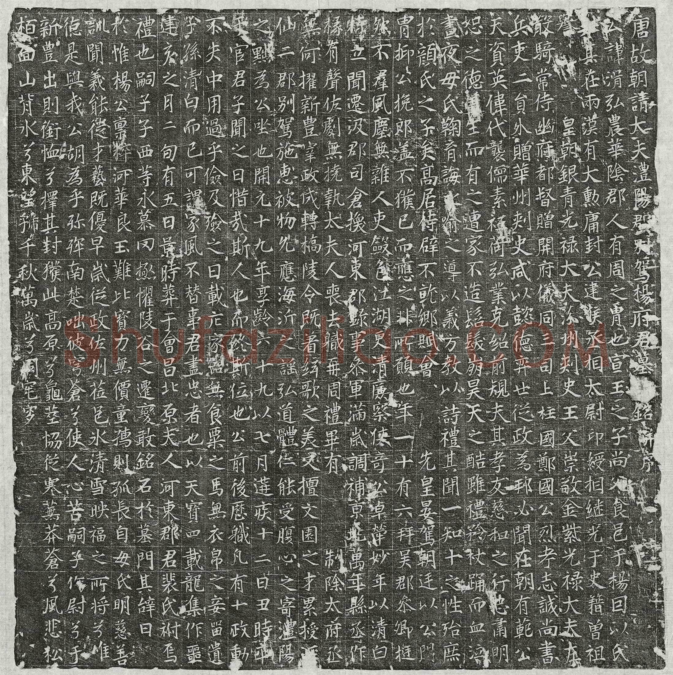 唐 杨湑 墓誌