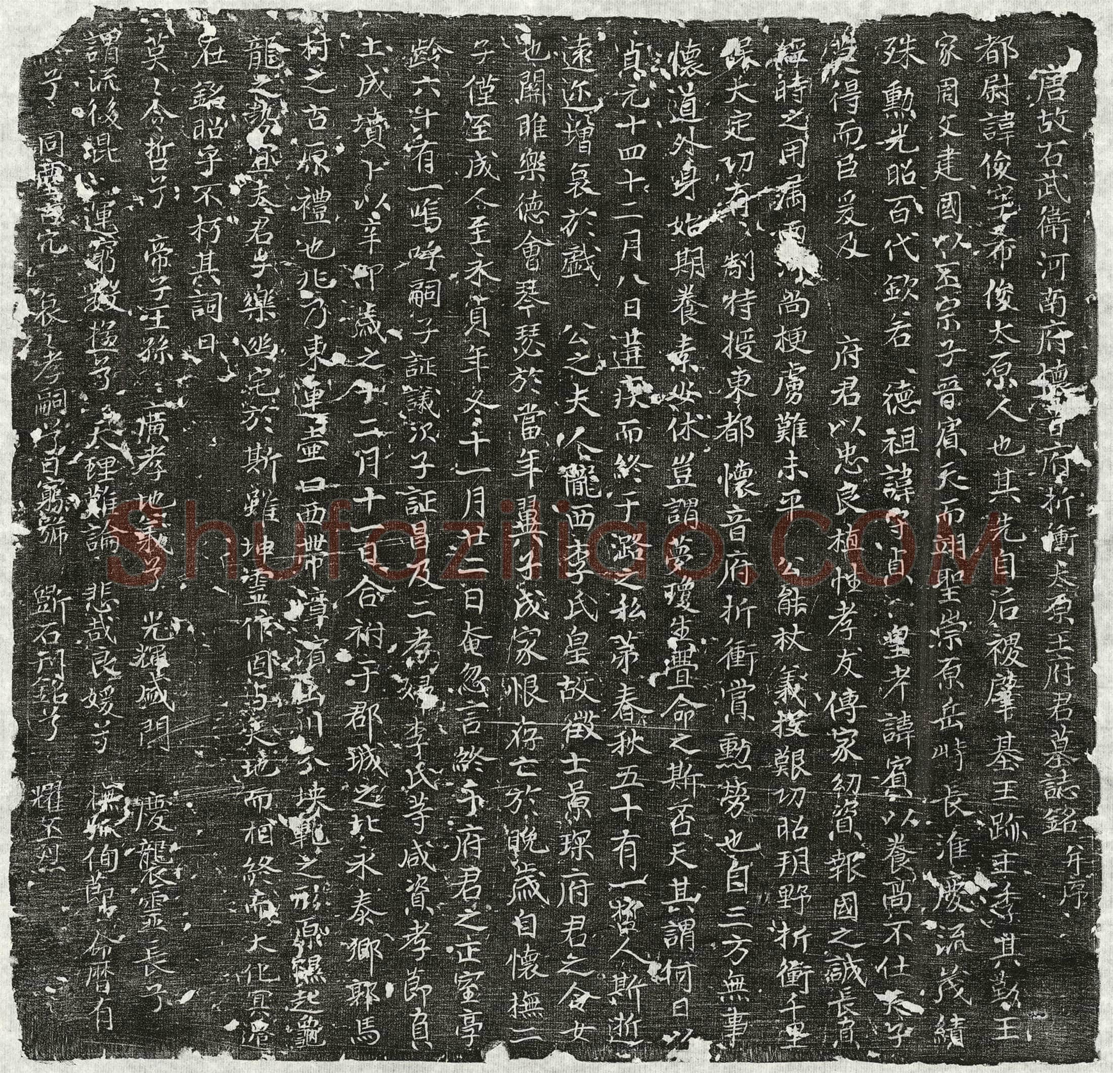 唐 王俊 墓誌
