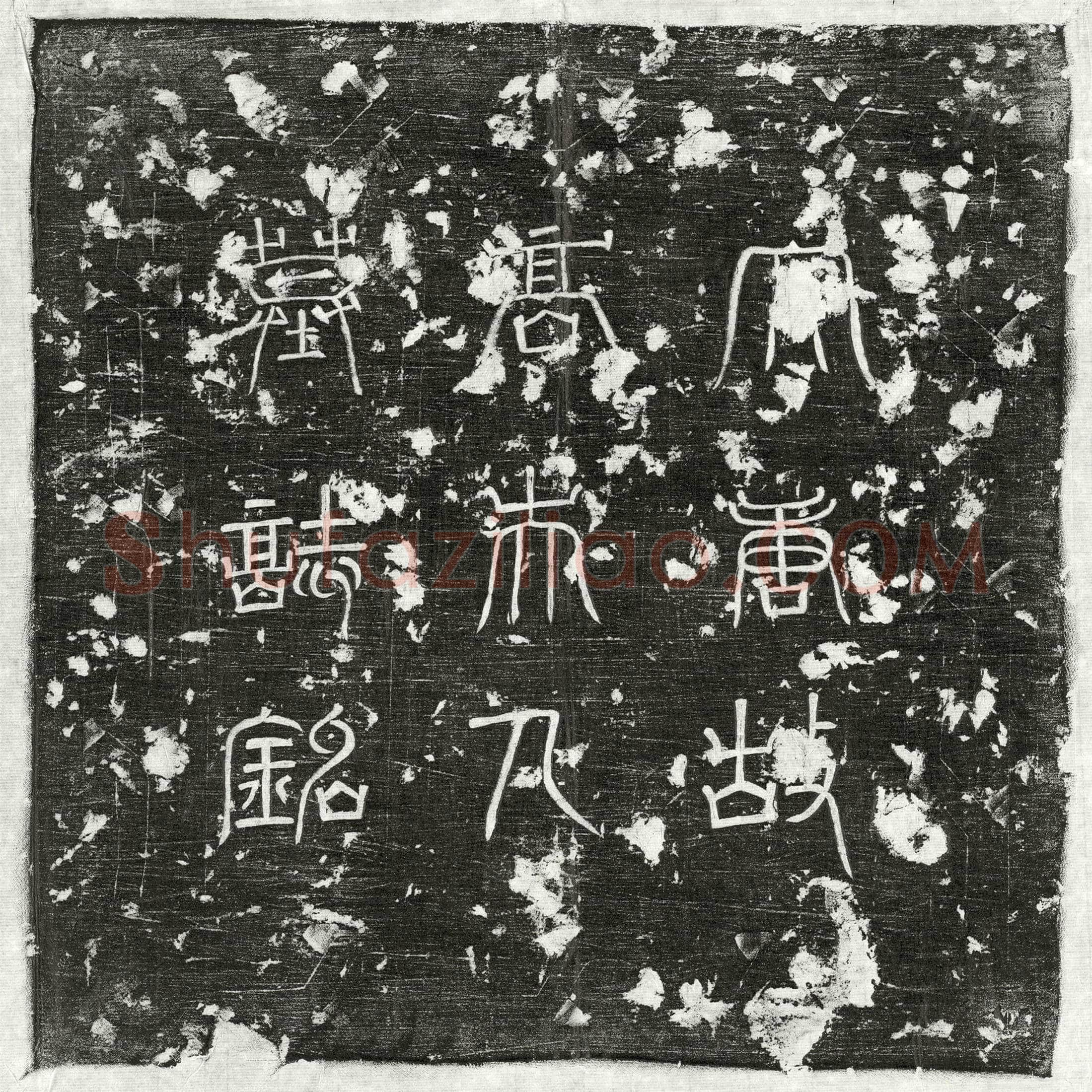 唐 高金胤妻高氏 墓誌