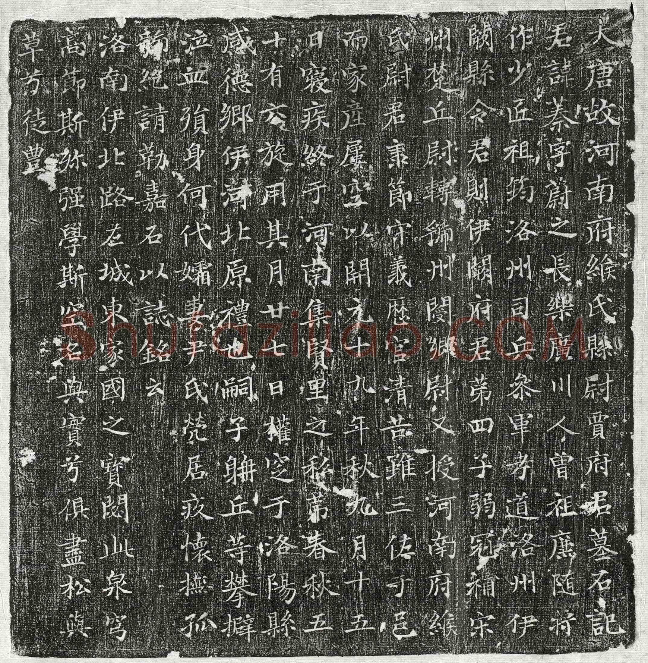 唐 贾蓁 墓誌