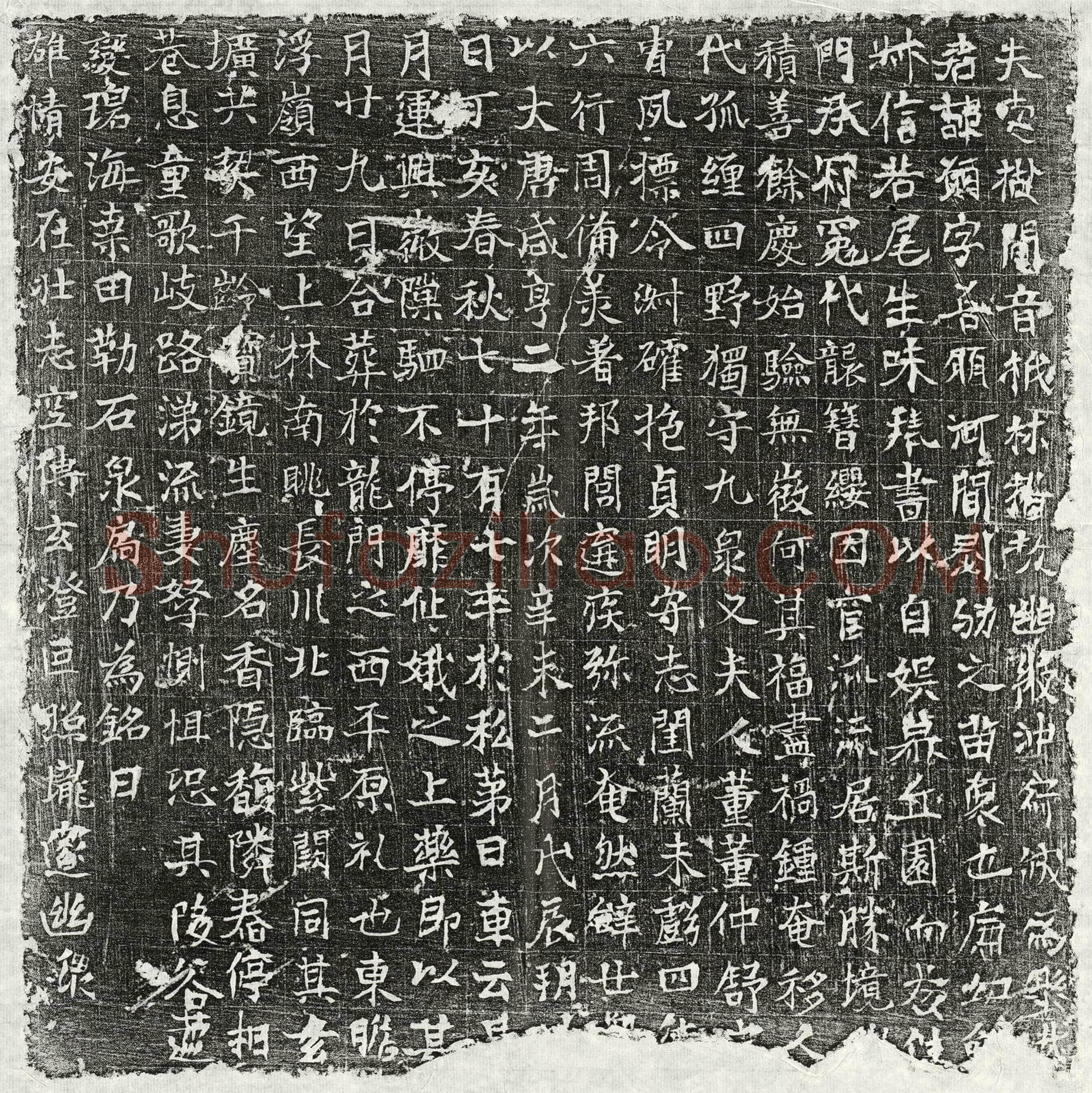 唐 刘愿 墓誌