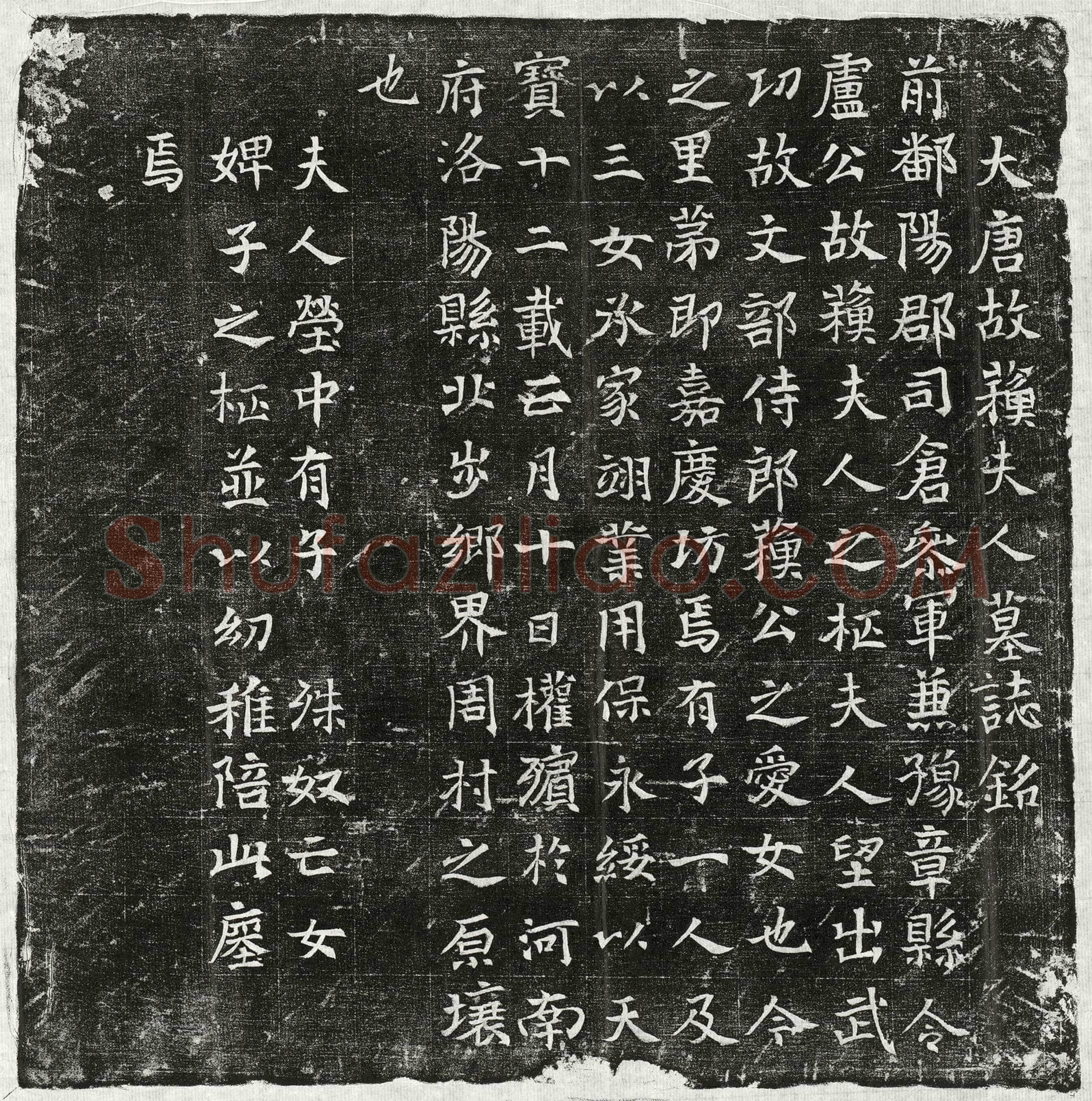 唐 卢君妻苏氏 墓誌