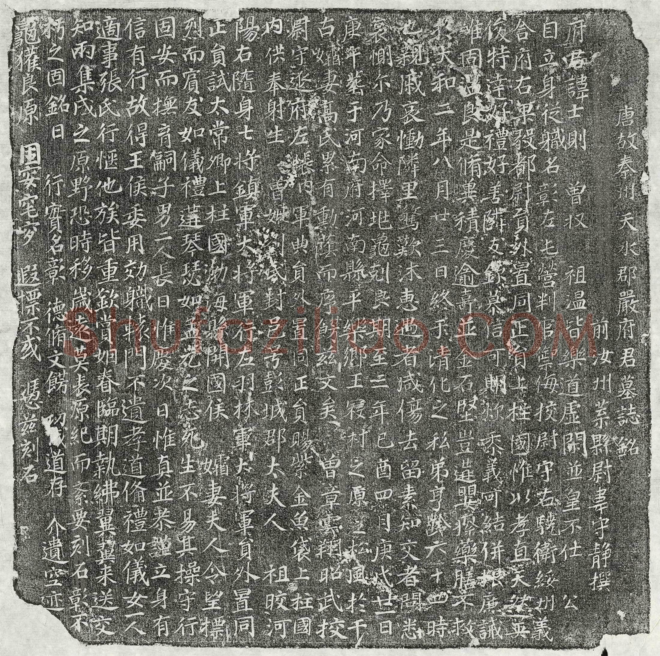 唐 严士则 墓誌