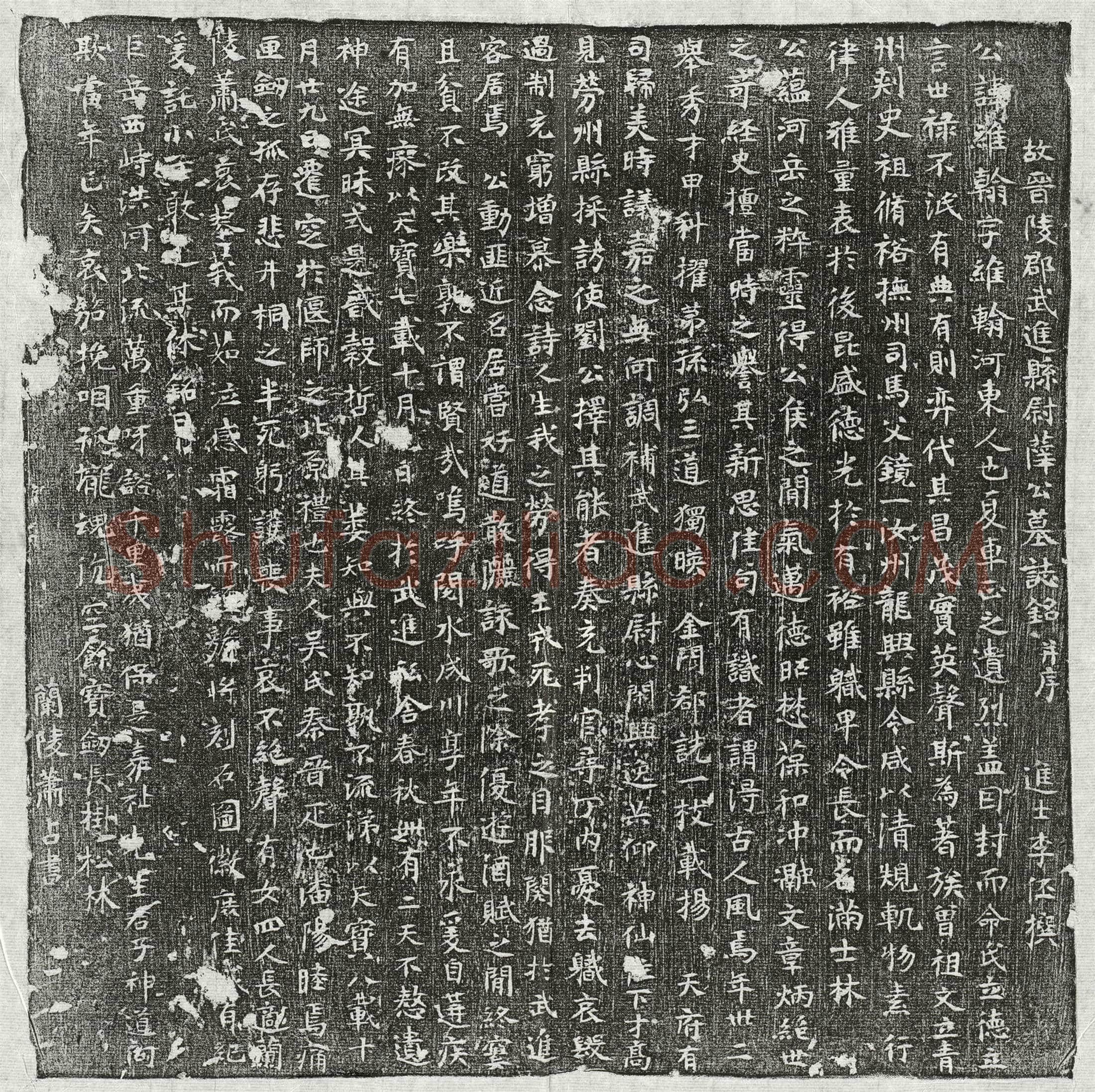 唐薛维翰墓誌(故晋陵郡武进县尉薛公墓誌铭并序)