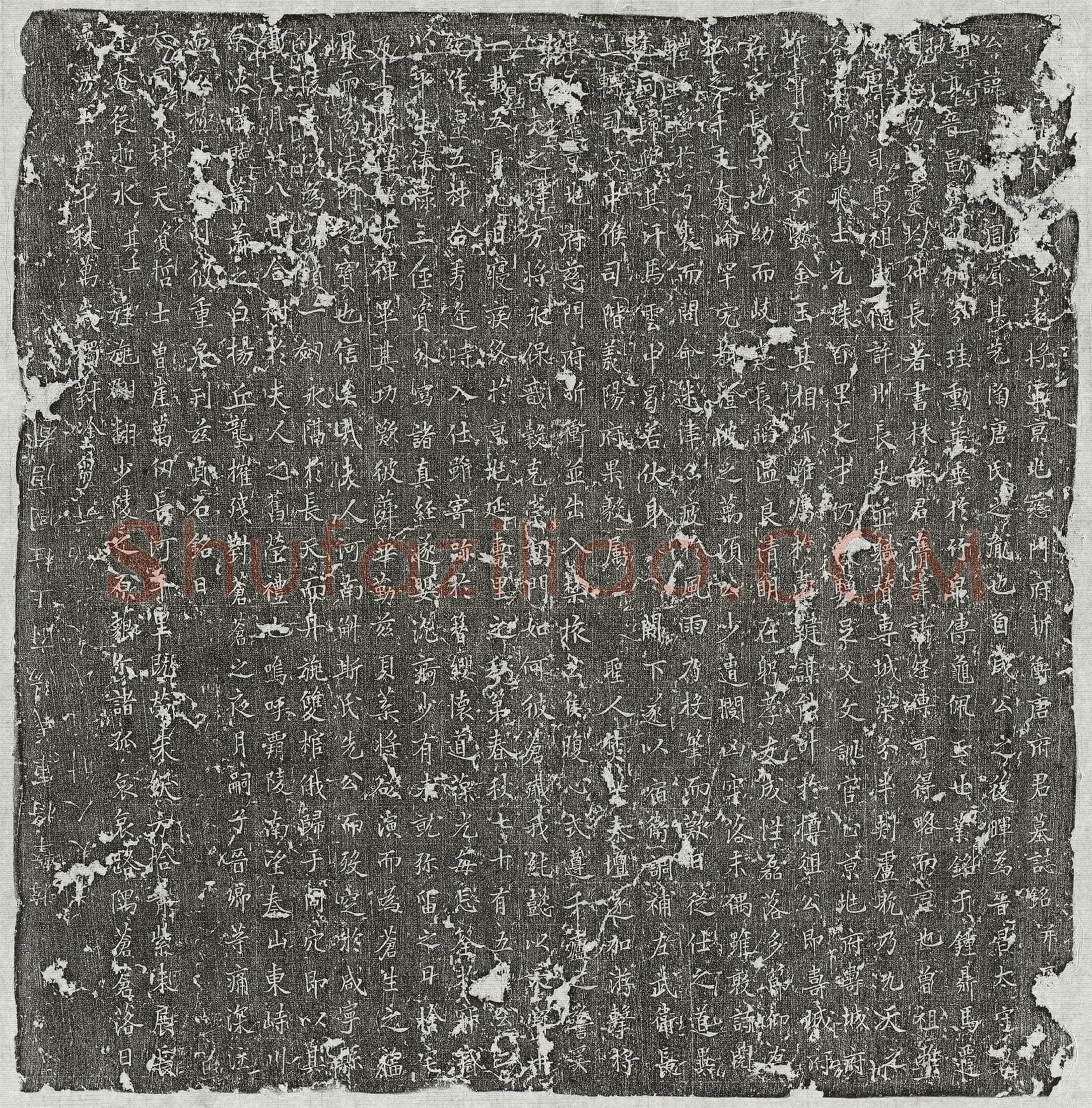 唐唐周宾墓誌(大□□定远将军京兆慈门府折冲唐府君墓誌铭并序)