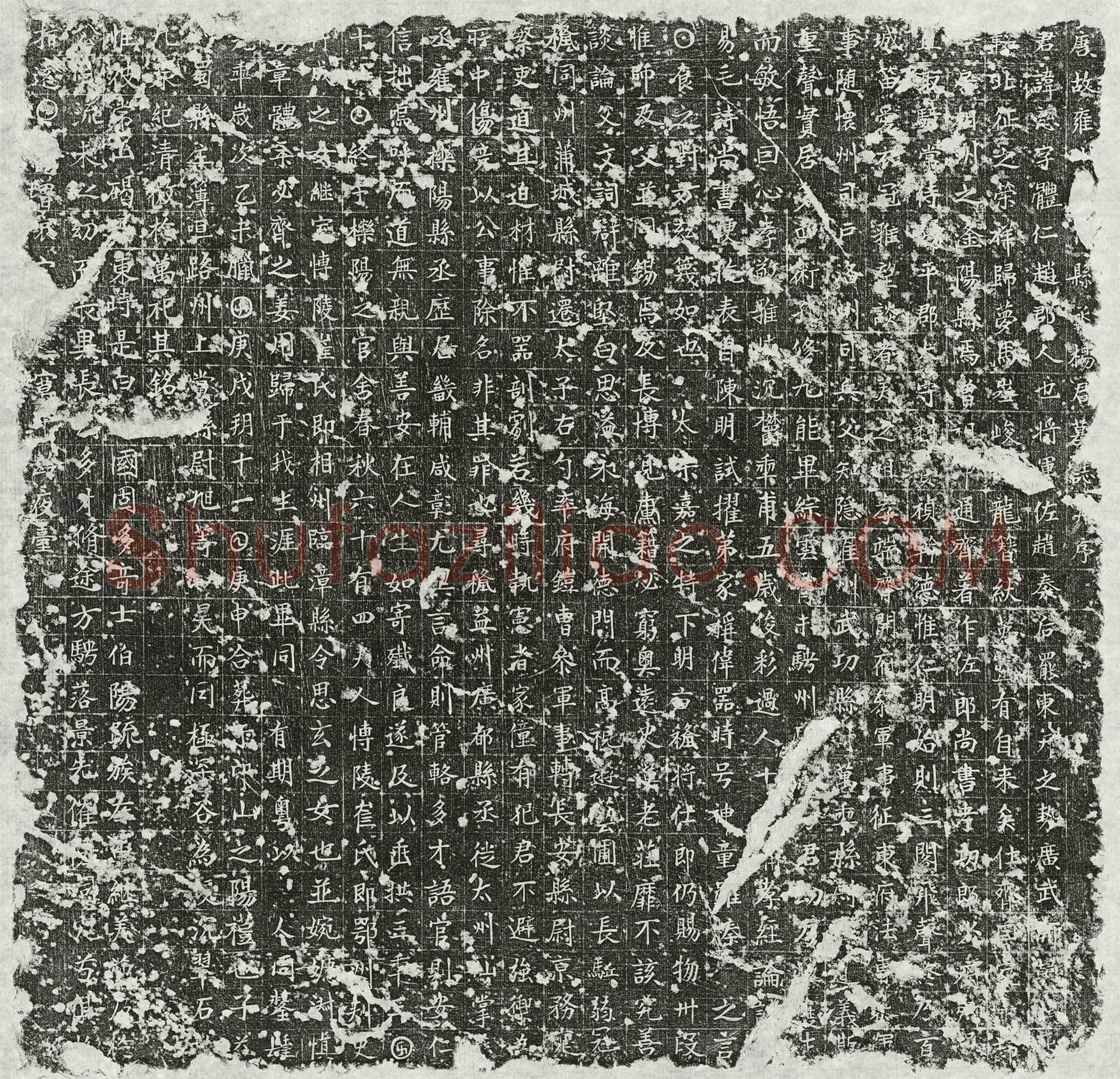 唐 杨慈 墓誌