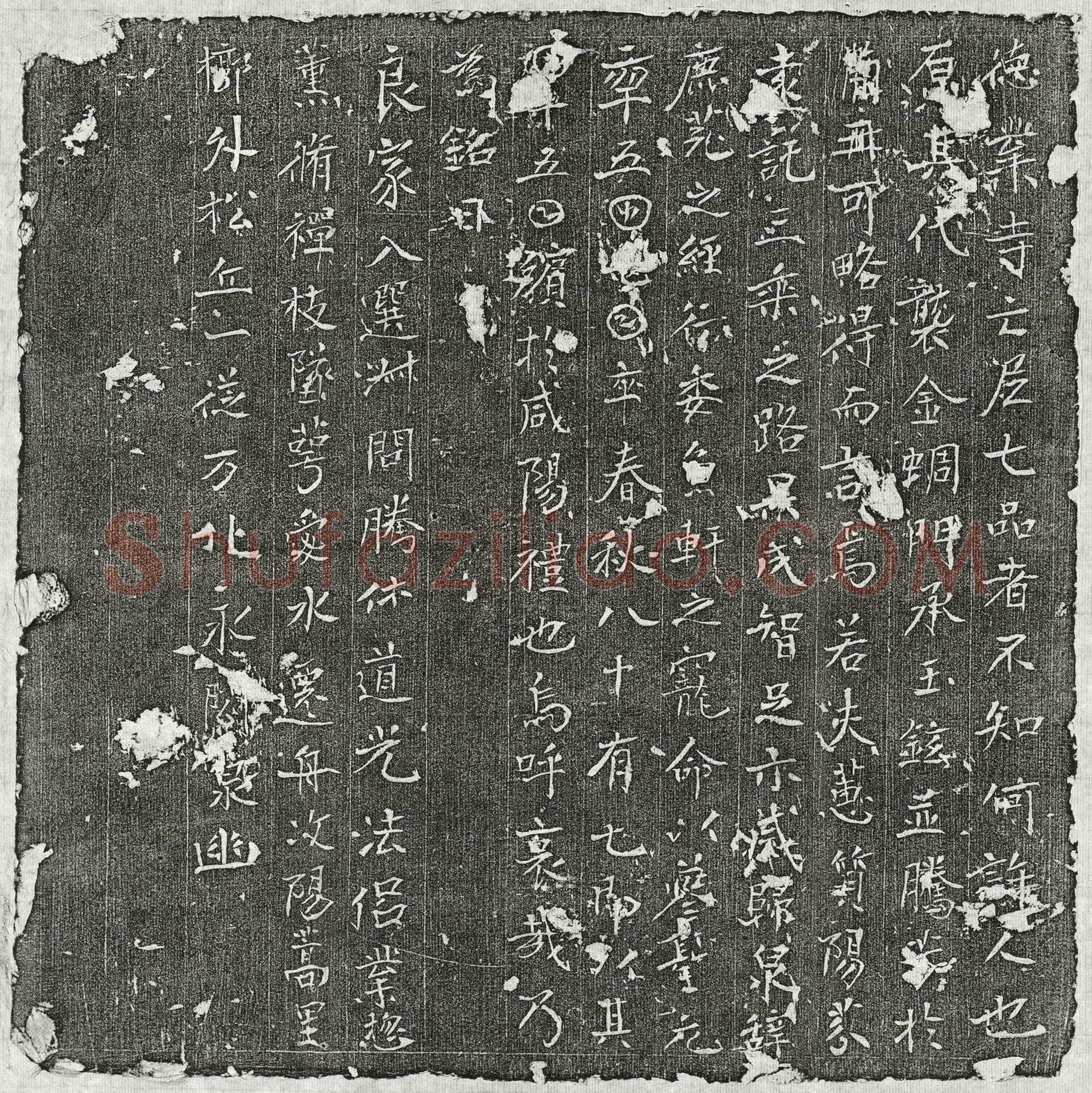 唐 七品亡尼 墓誌