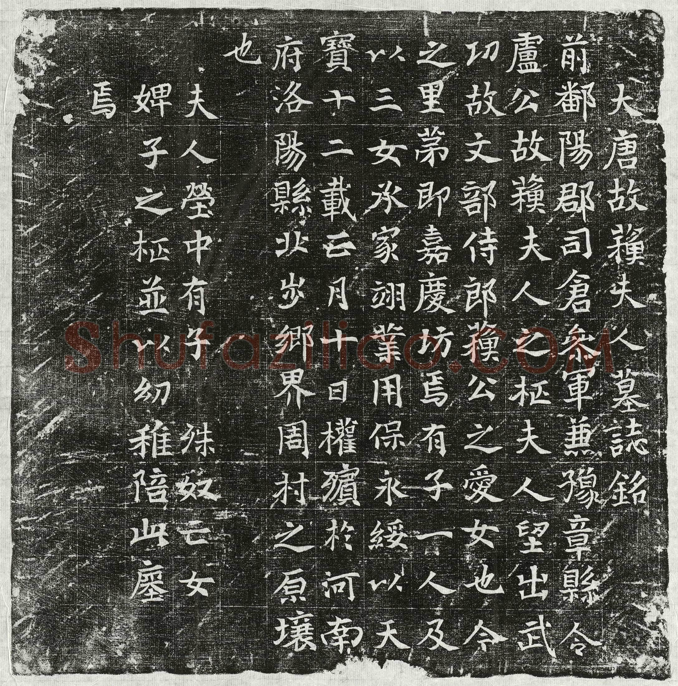 唐 卢君妻苏氏 墓誌