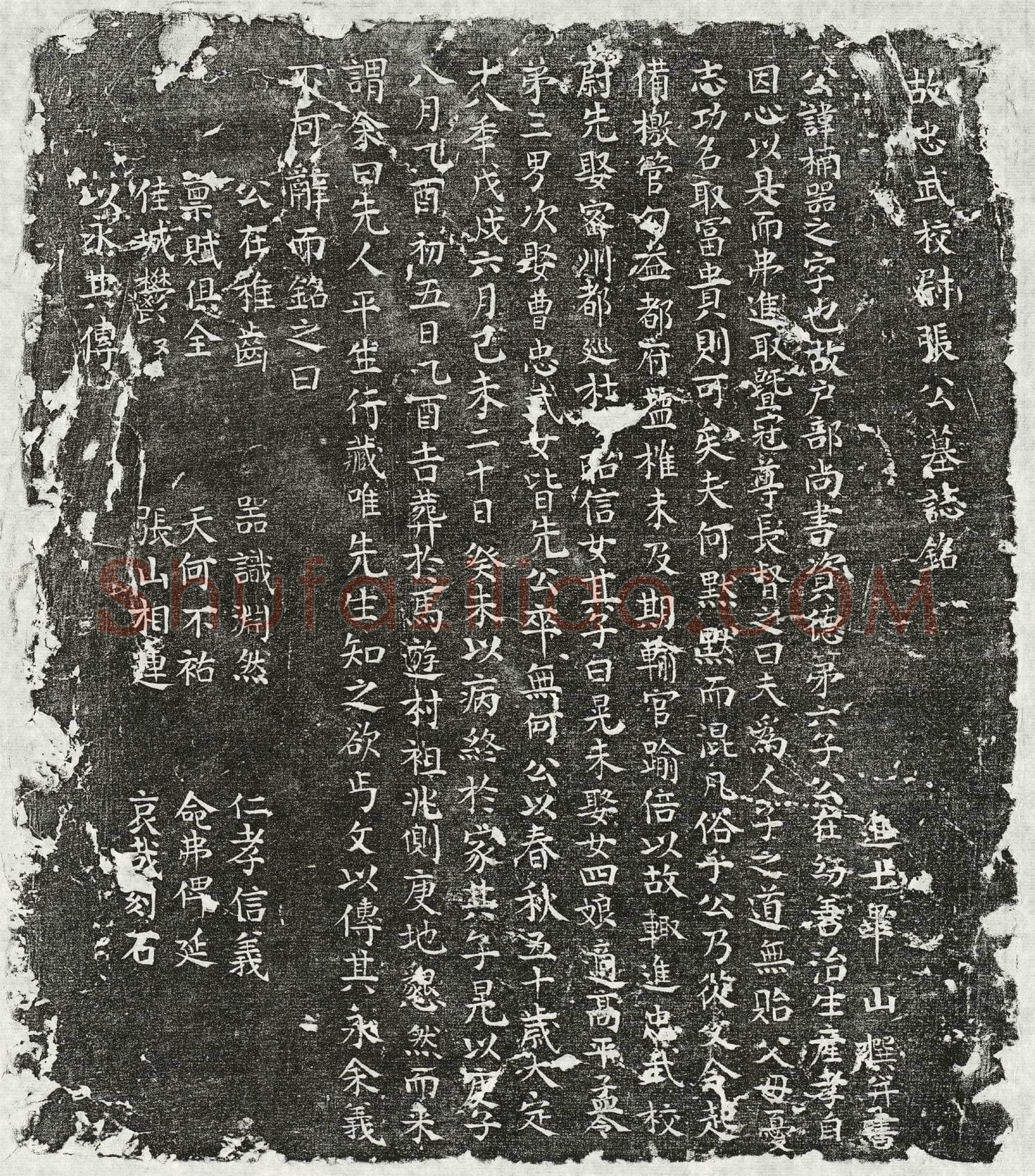 金 张楠 墓誌