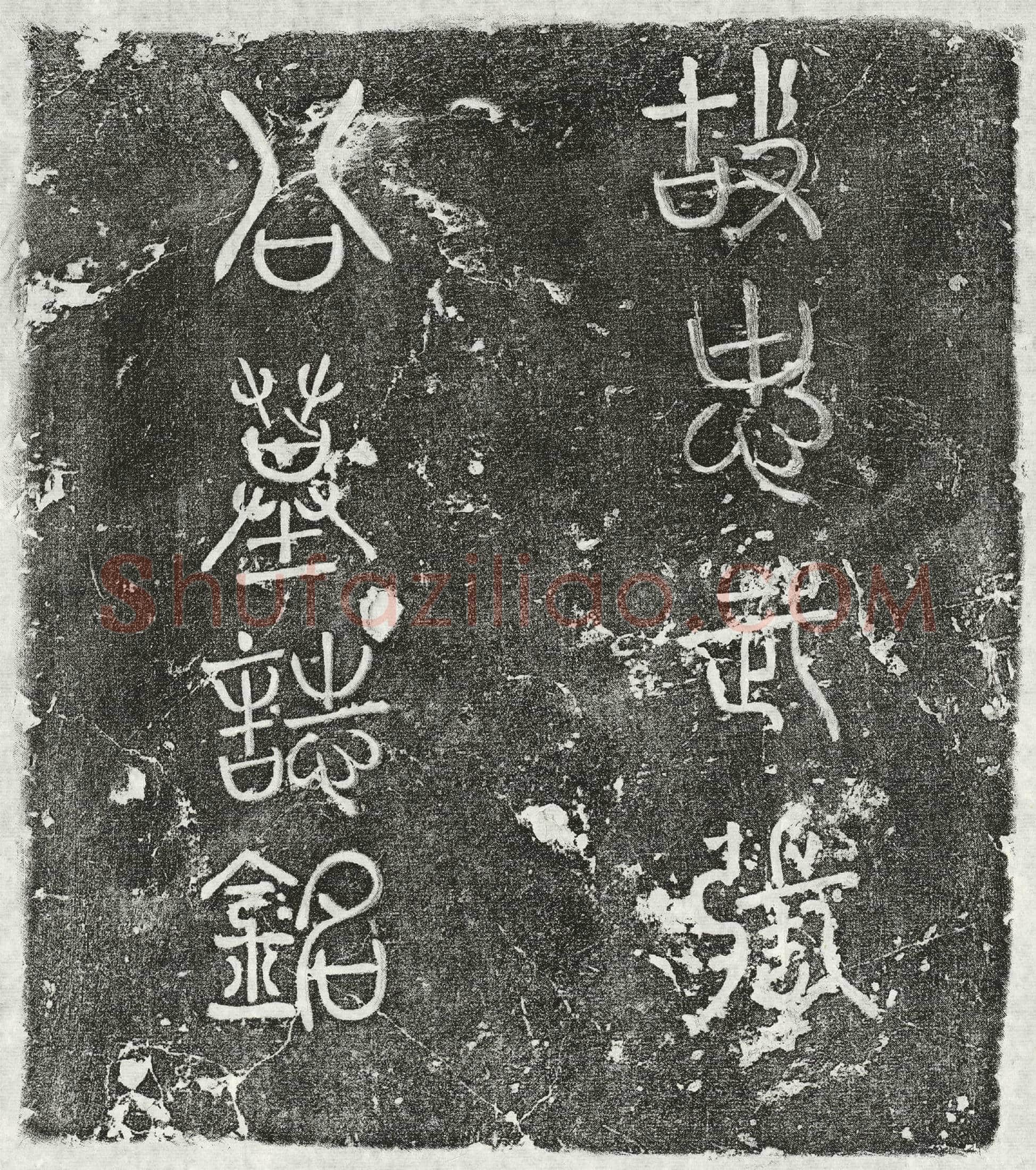 金 张楠 墓誌