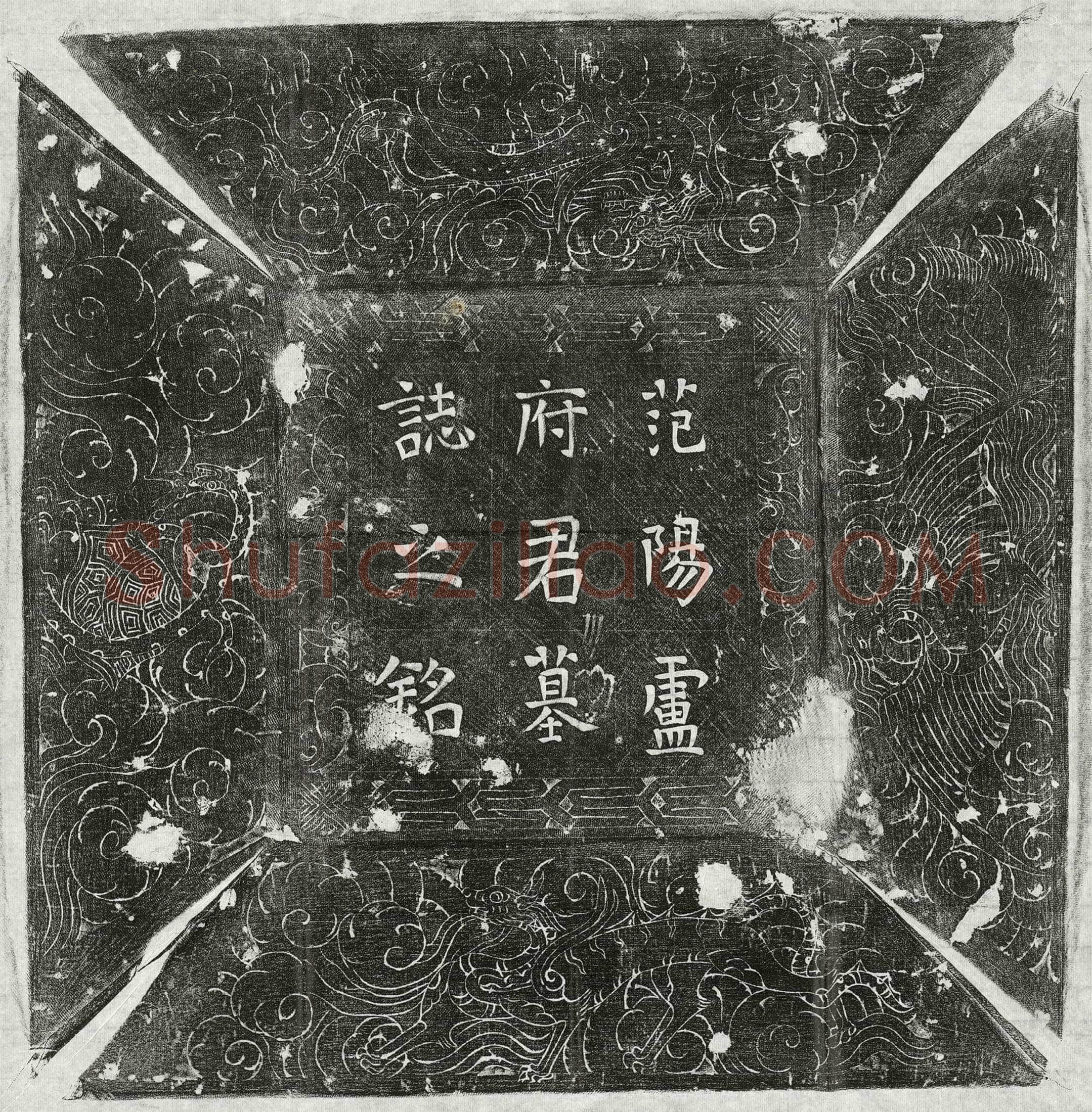 唐 卢苹 墓誌