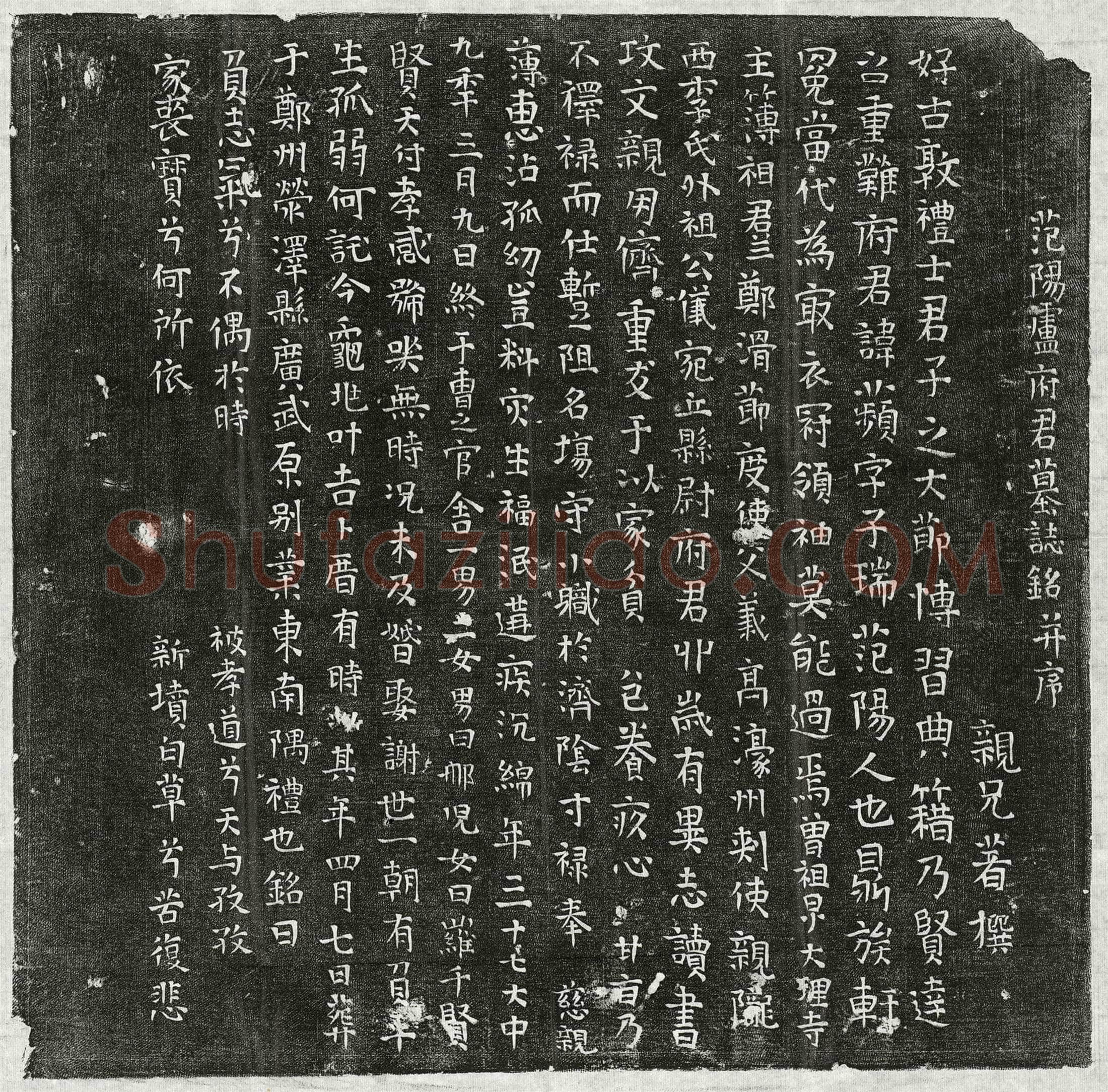 唐 卢苹 墓誌