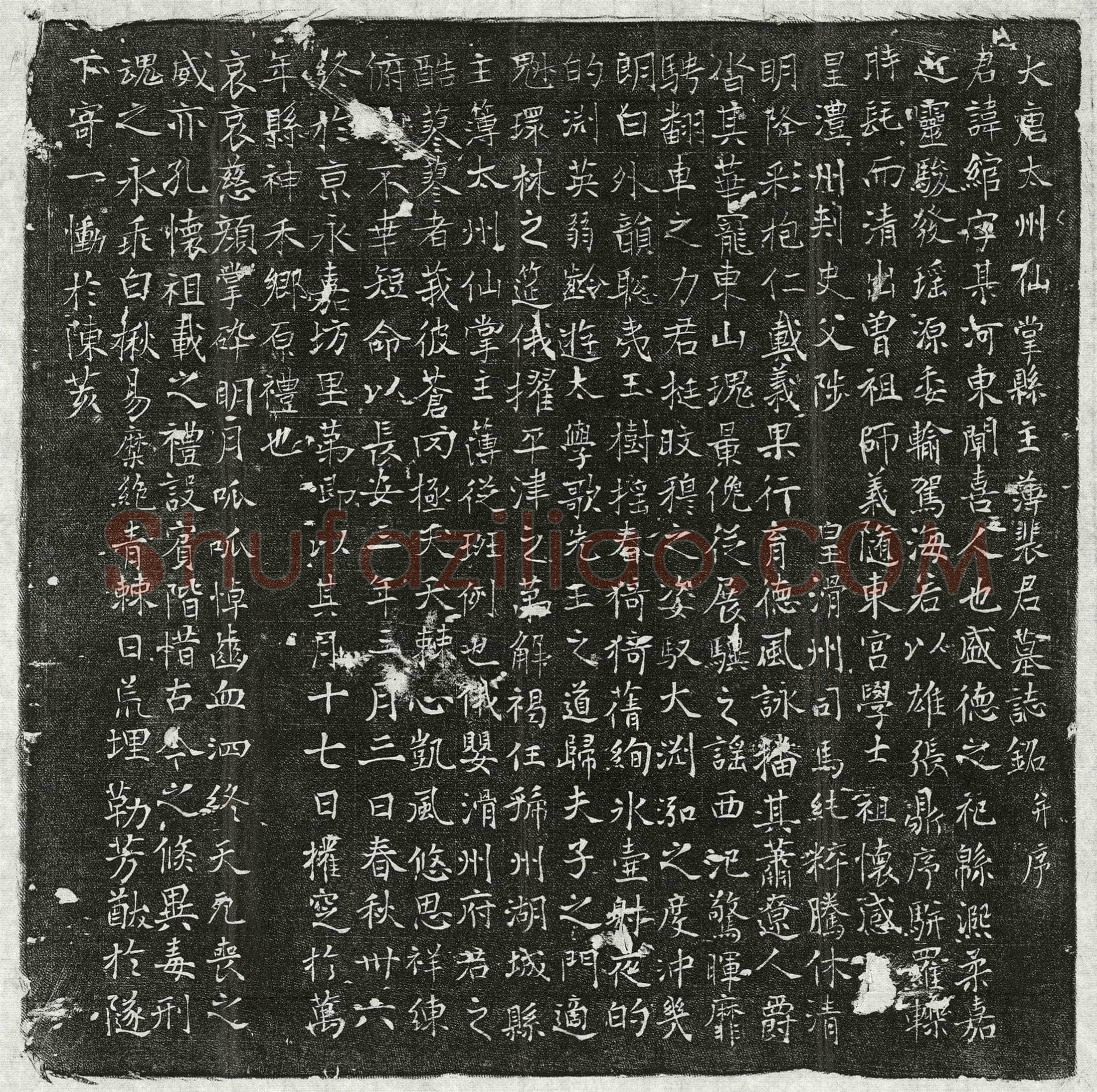 唐裴绾墓誌(大唐太州仙堂县主簿裴君墓誌铭并序)