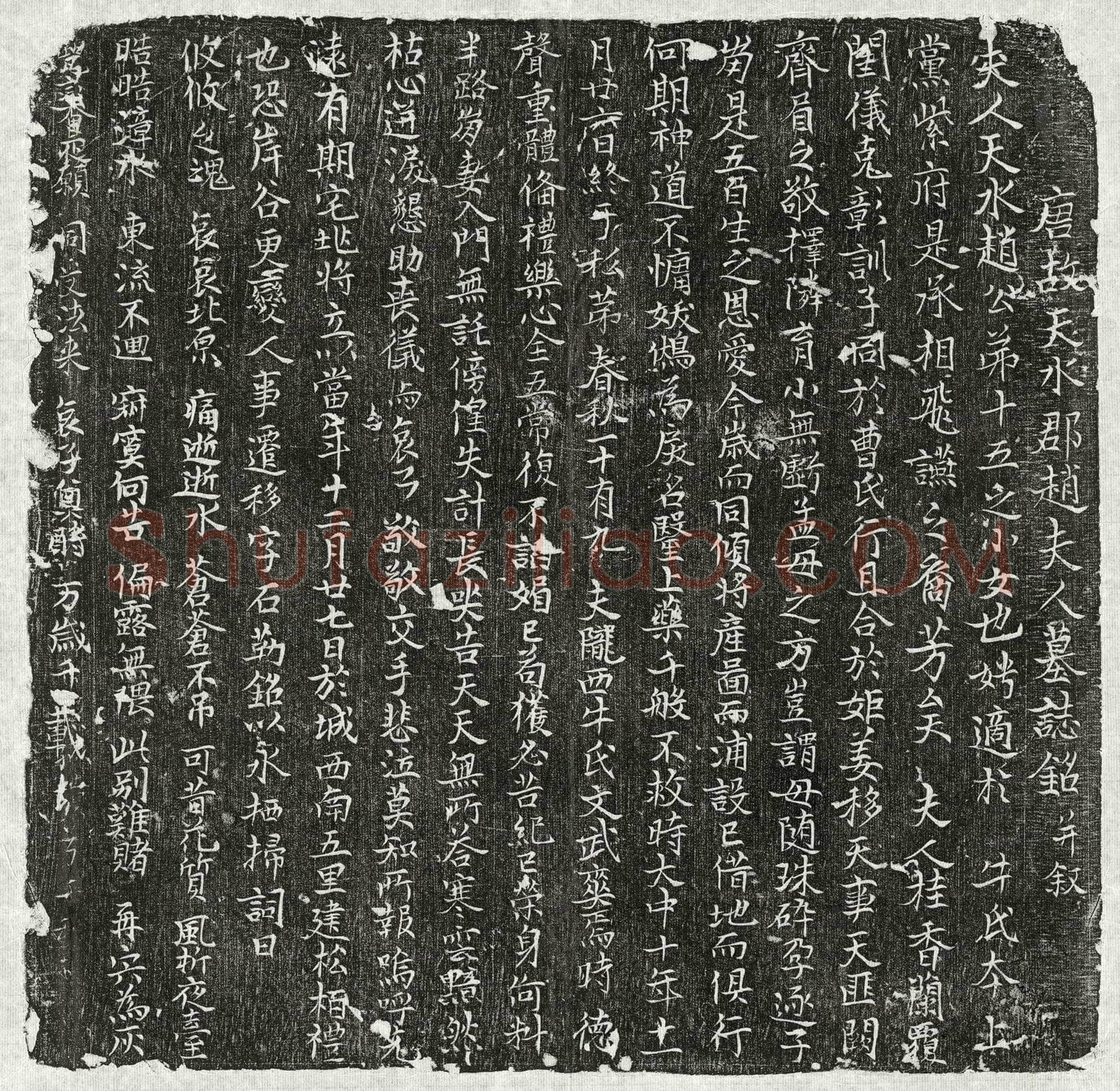 唐 牛君妻赵氏 墓誌