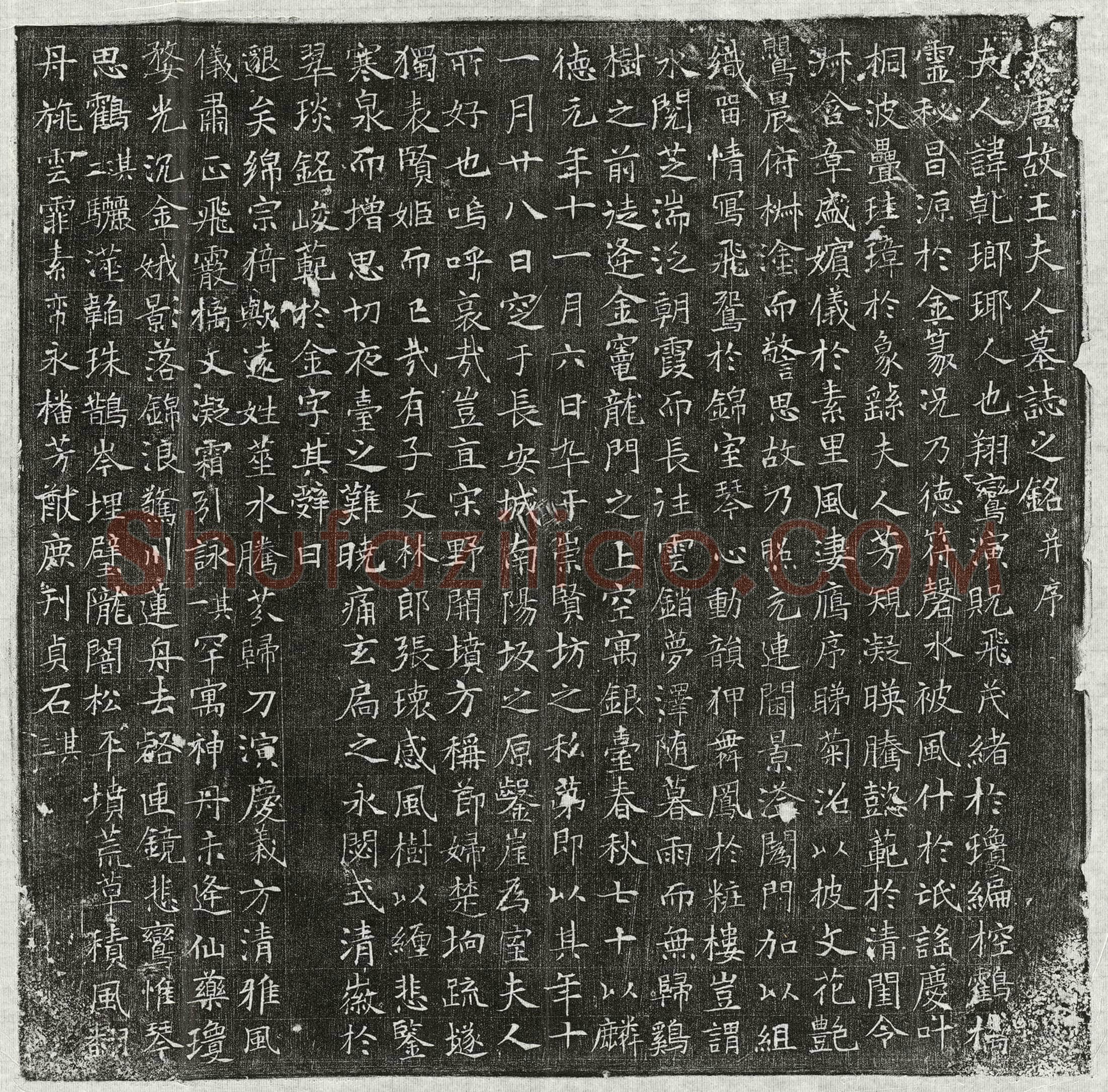 唐 张瓌母王乾 墓誌