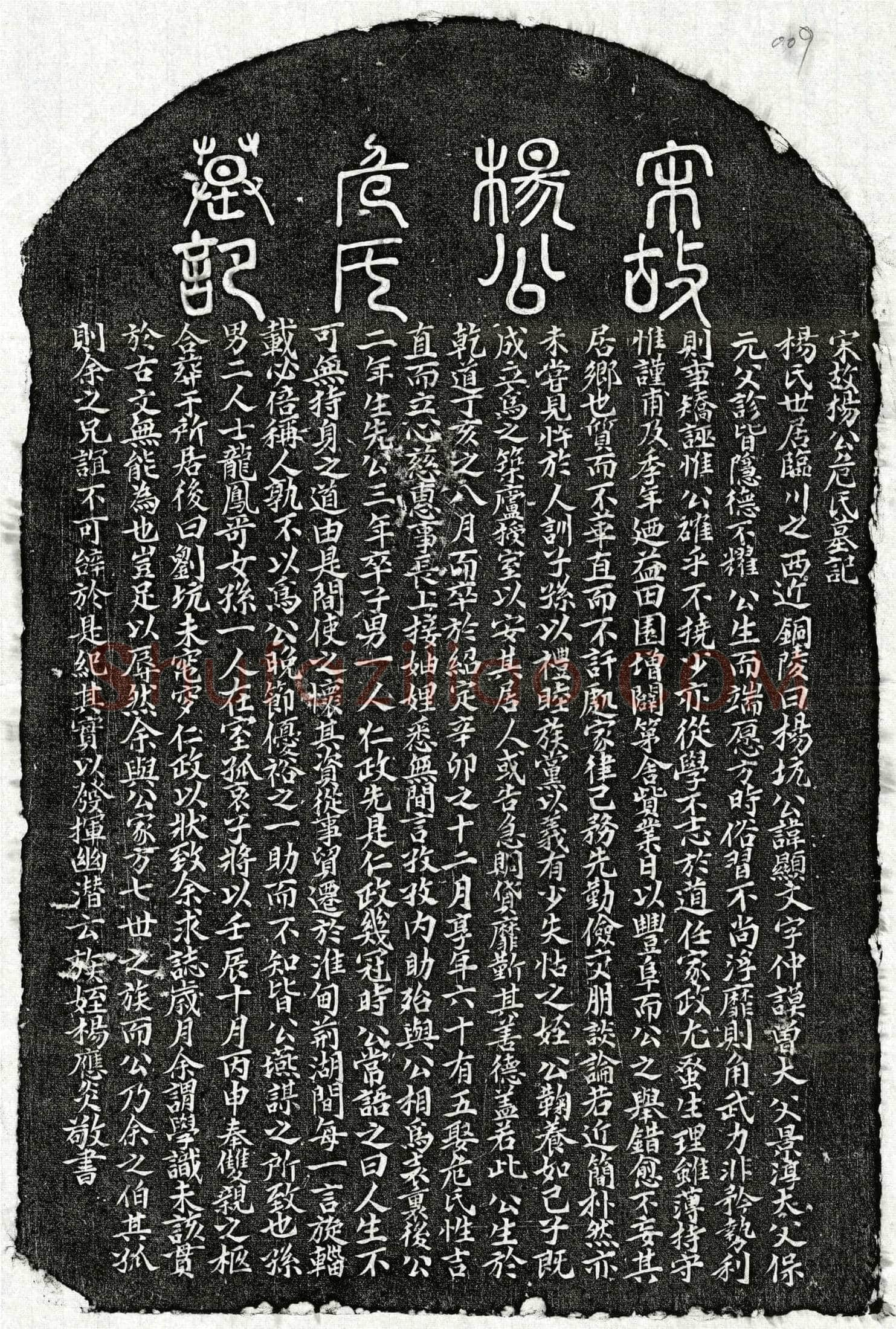 南宋 杨显文 杨显文妻危氏 墓誌