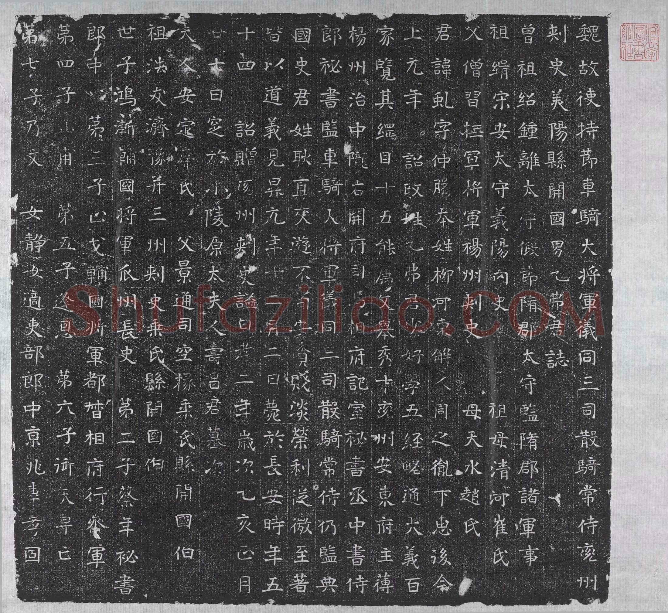 北朝柳虬；乙弗虬墓誌(魏故使持节车骑大将军仪同三司散骑常侍兖州刺史美阳县开国男乙弗君誌)