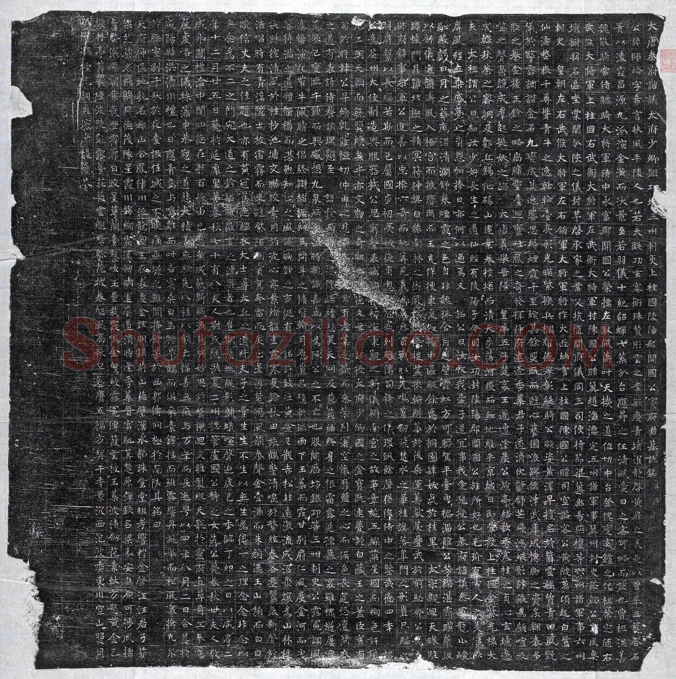 唐窦师纶墓誌(大唐秦府谘议太府少卿银□□三州刺史上柱国陵阳郡开国公窦府君墓誌铭并序)