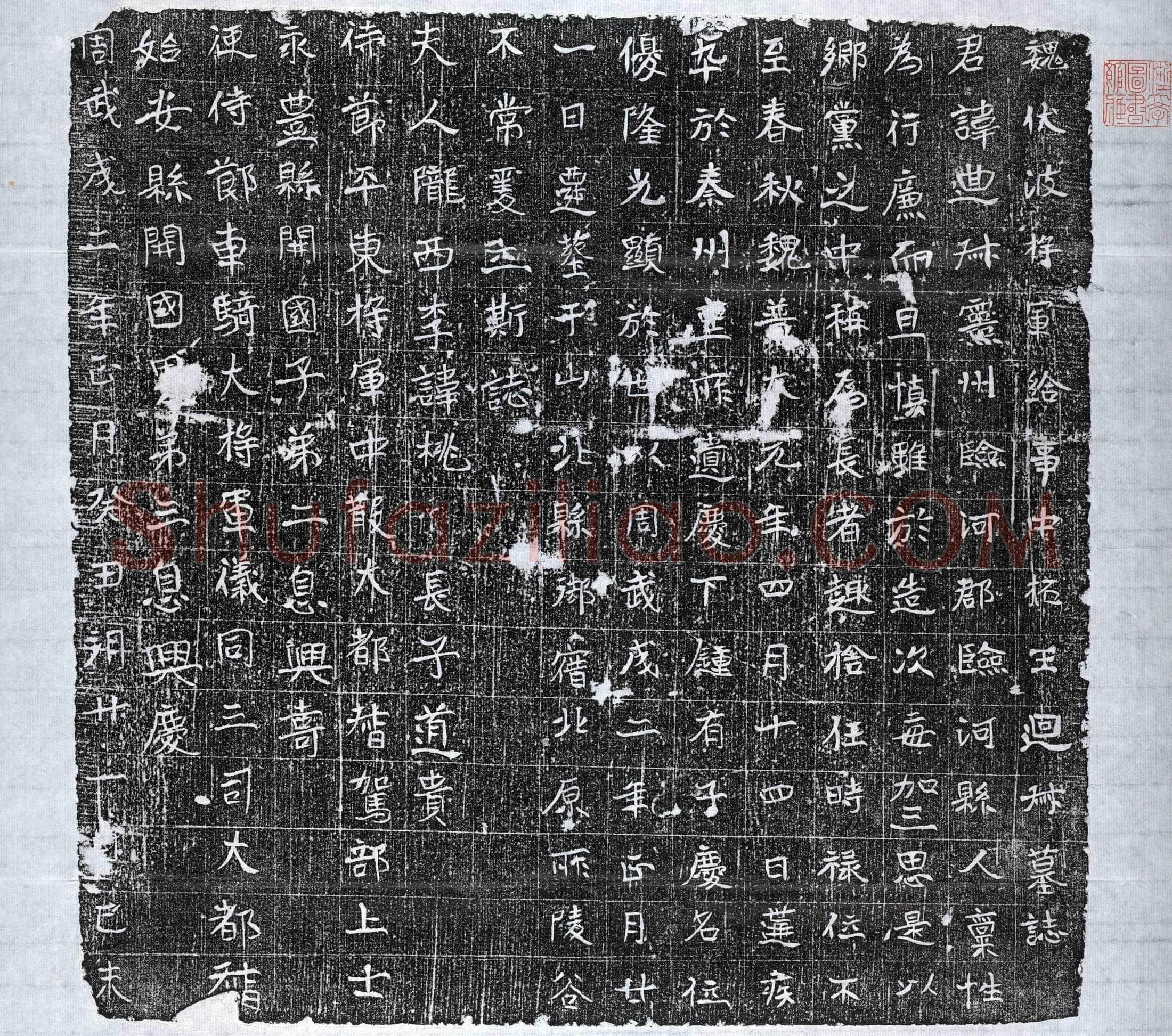北朝 拓王迴叔 墓誌