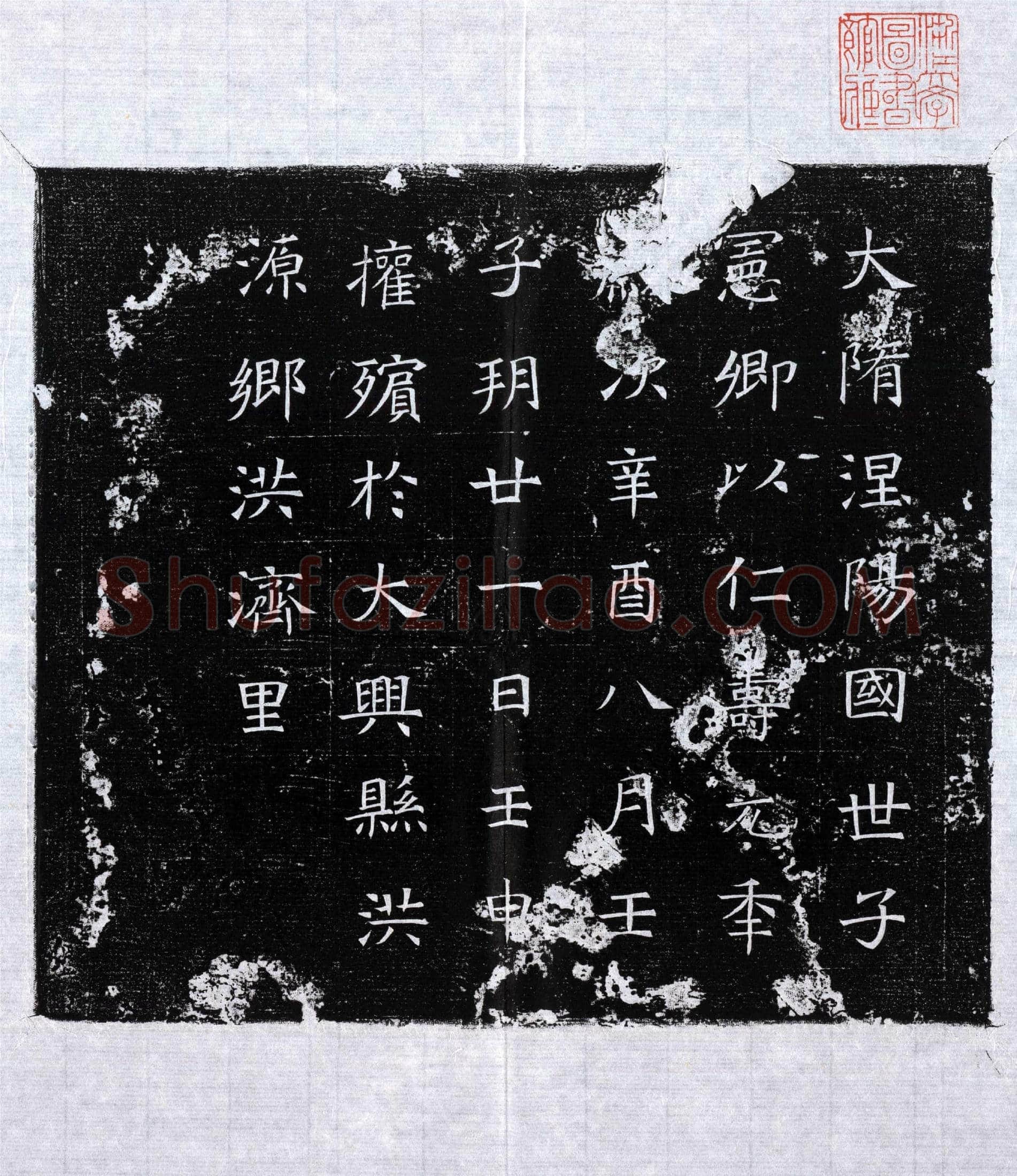 隋 张振 墓誌